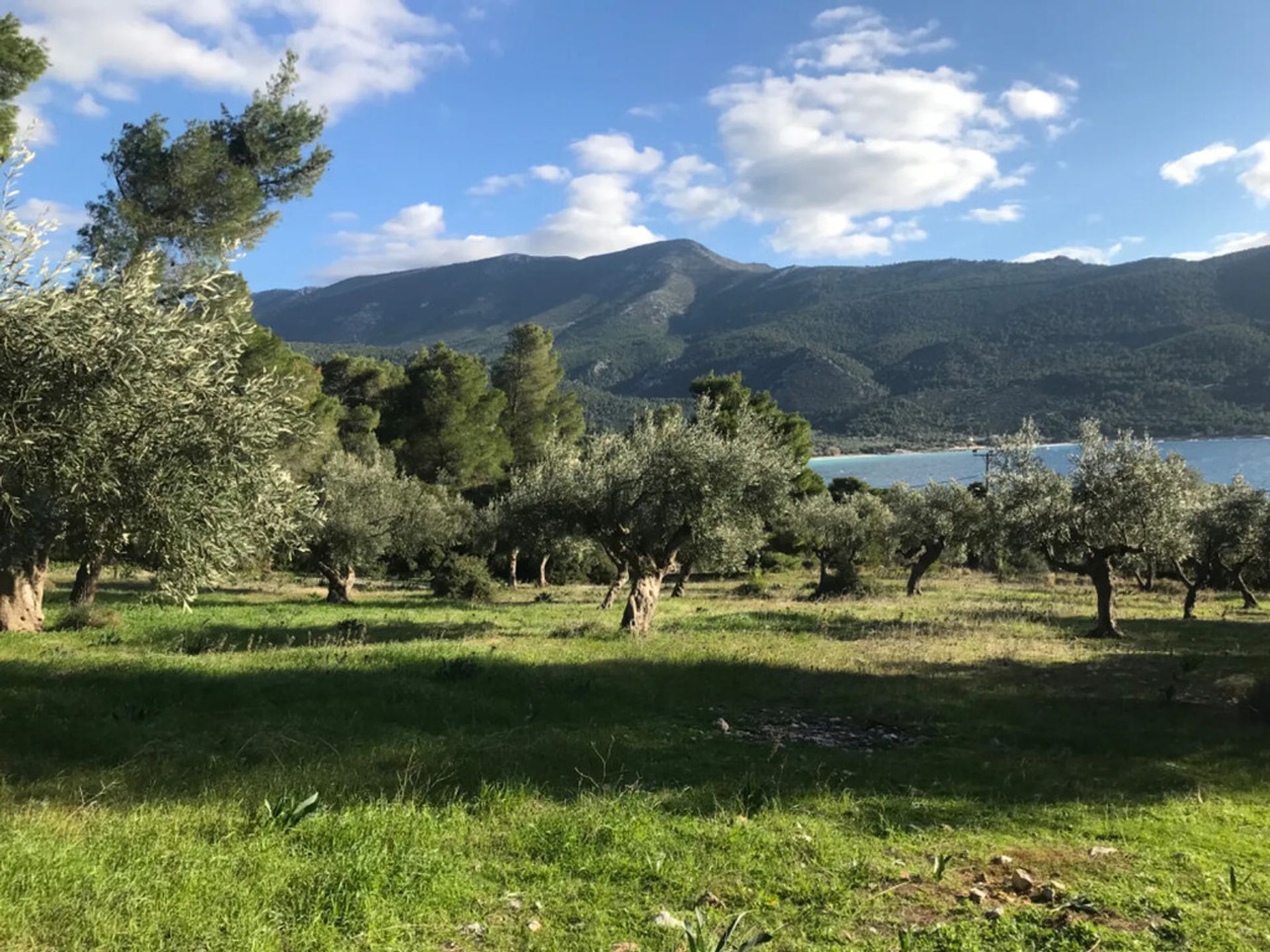 Tierra en Porto Germeño, Ático 12249089