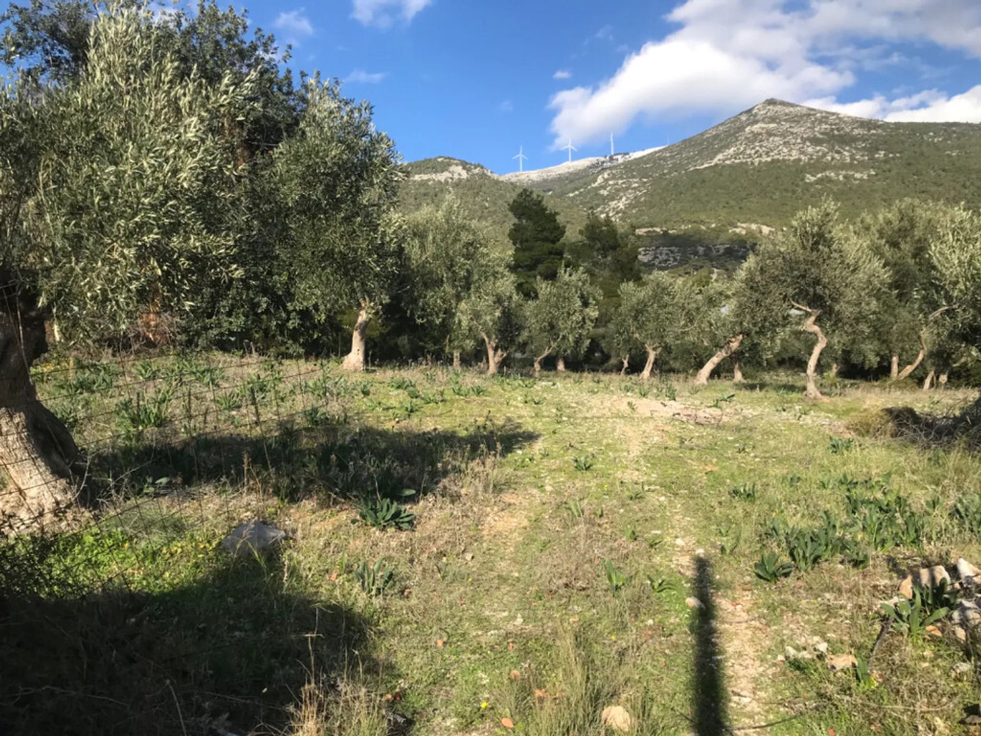 Tierra en Porto Germeño, Ático 12249089