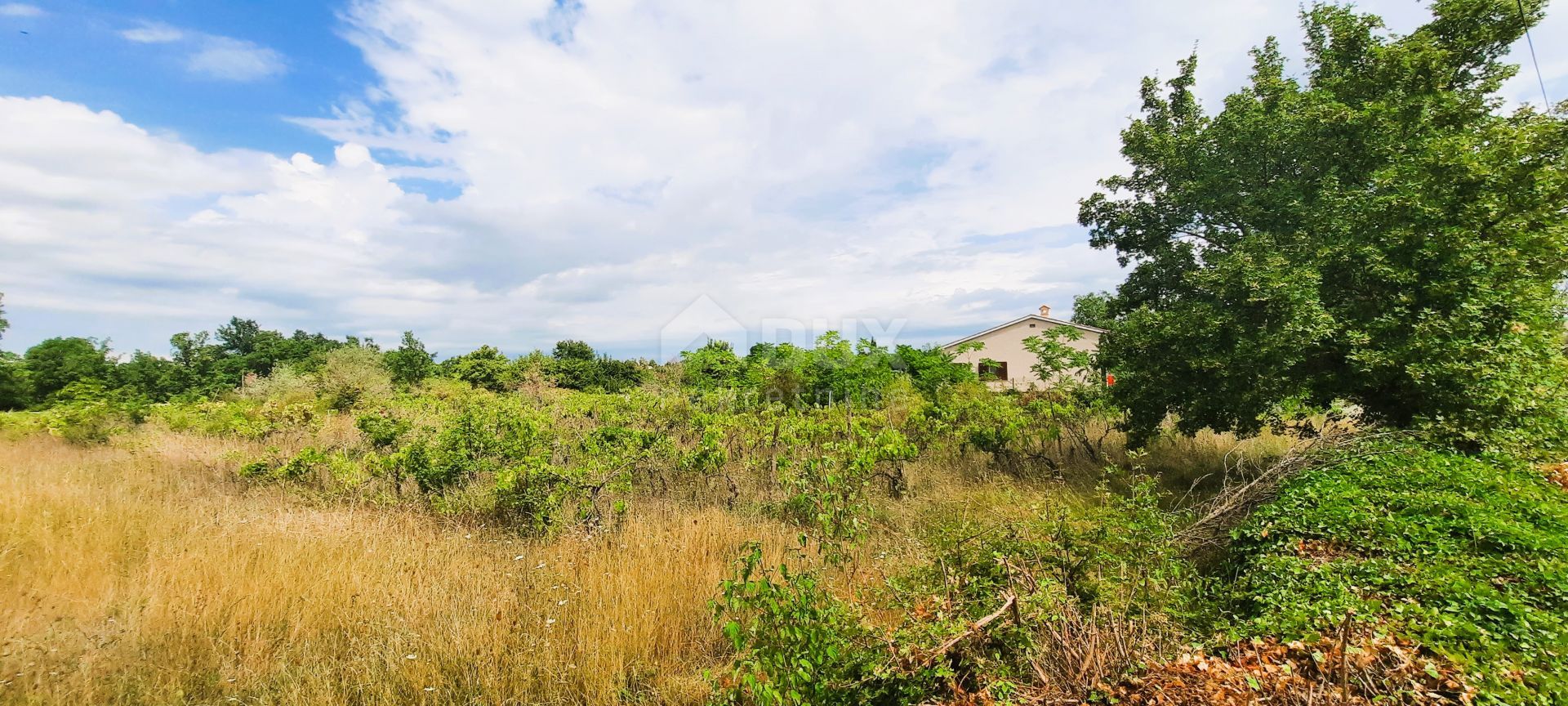 Land in Kanfanar, Istarska Zupanija 12249096