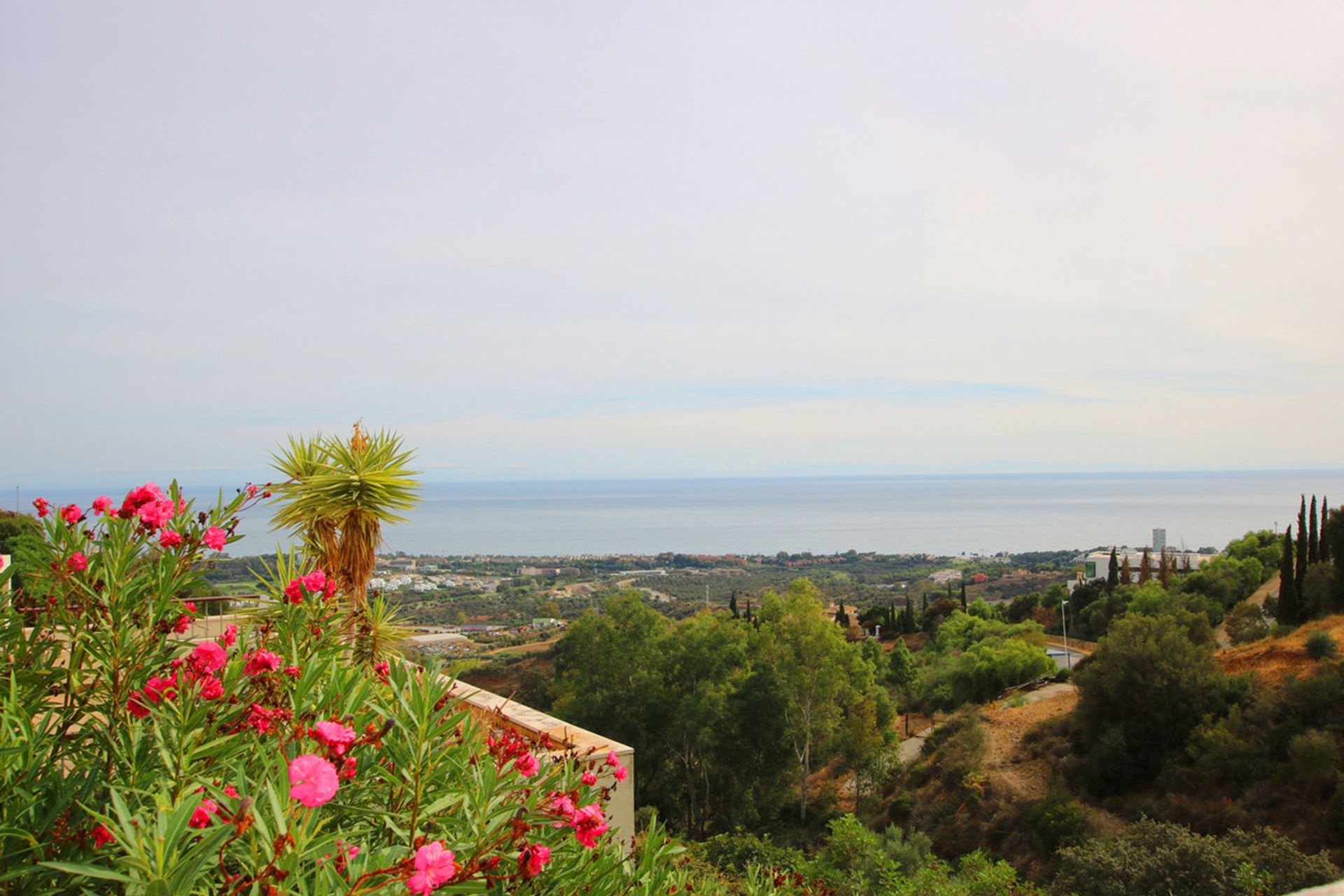 Borettslag i Espinosa de los Monteros, Castille-Leon 12250648