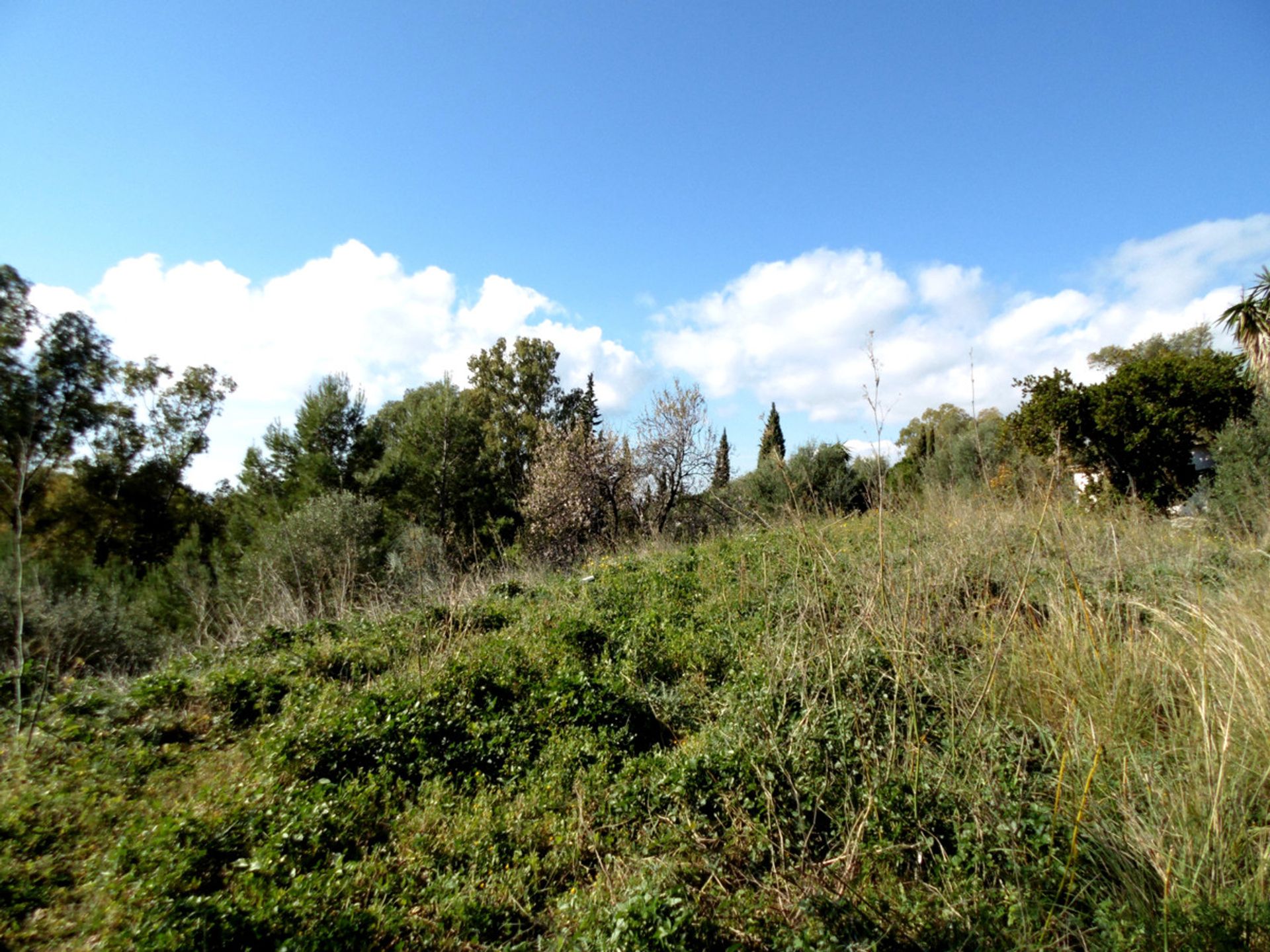 Земля в Mijas, Andalusia 12250876