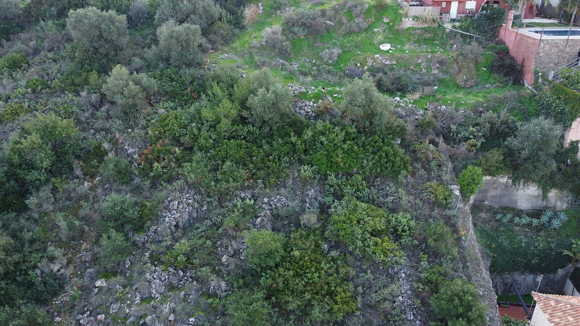 Maa sisään Alhaurin de la Torre, Andalusia 12250883