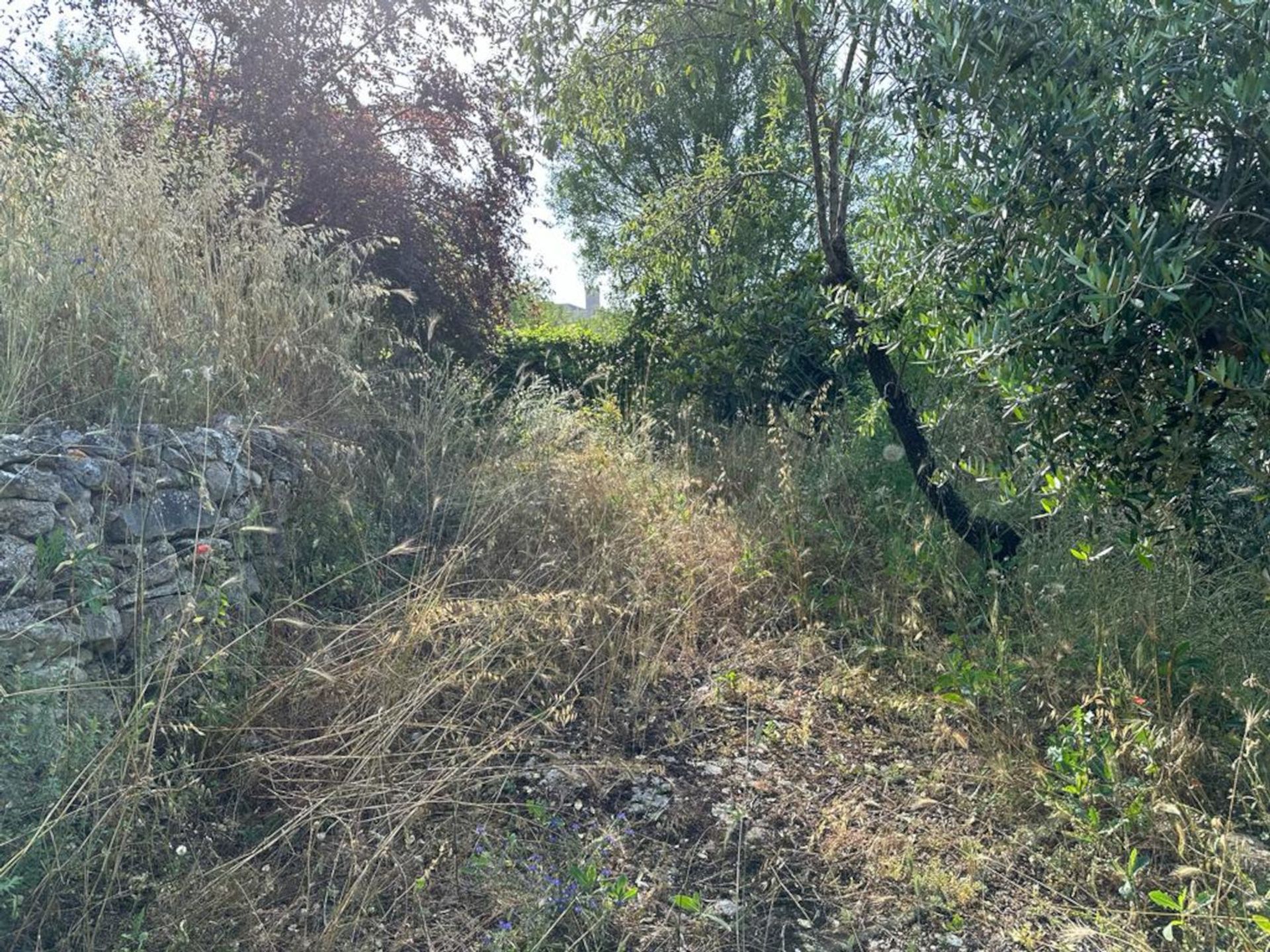 Borettslag i Centocelle, Lazio 12251478