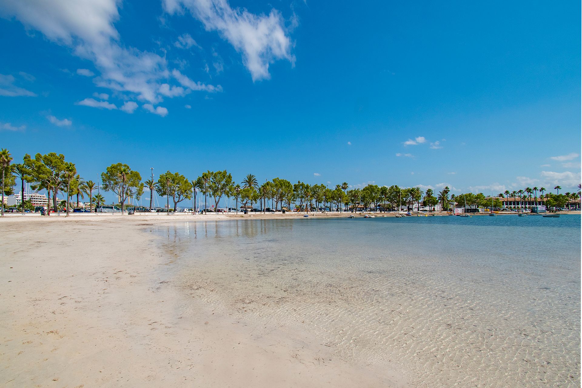 Kondominium di Alcúdia, Balearic Islands 12252103