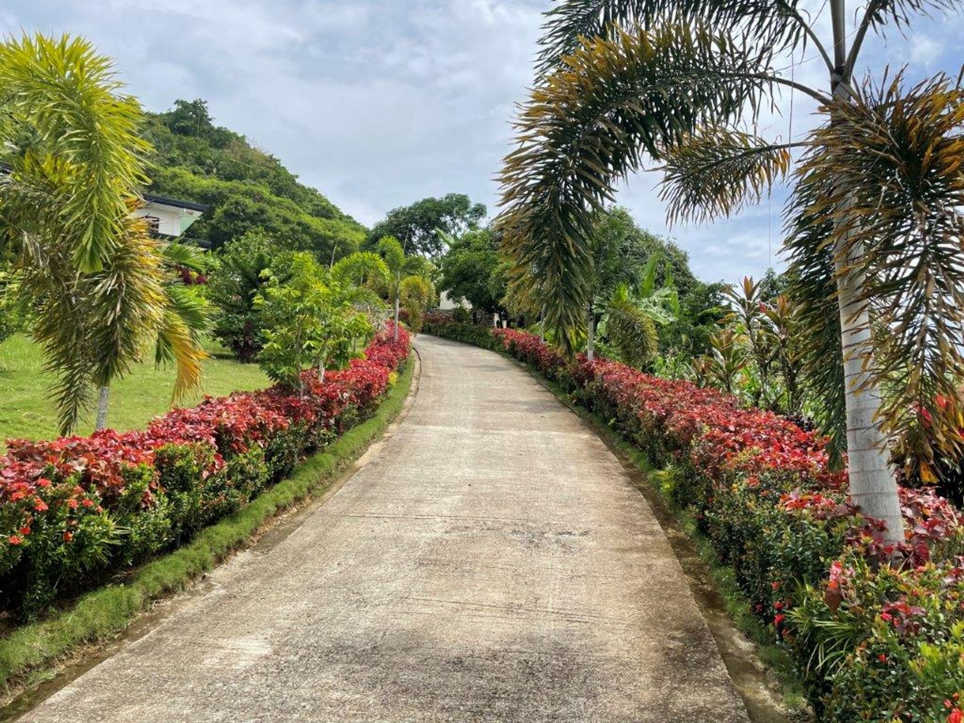 Condominium in Manlayag, Cebu 12253970