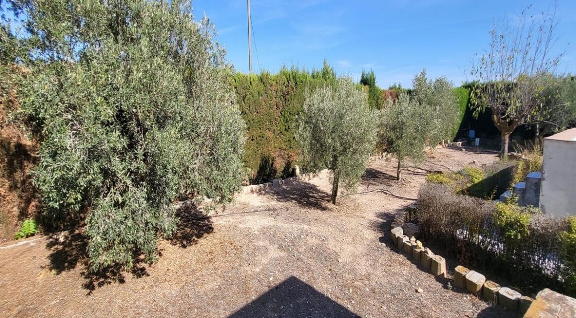 σπίτι σε Pinoso, Valencian Community 12254067