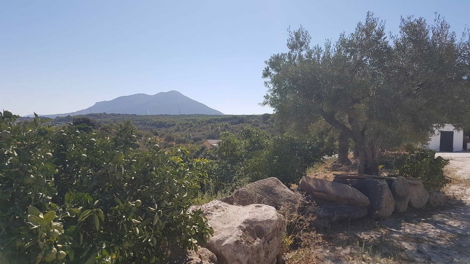 Hus i Coín, Andalusia 12254194