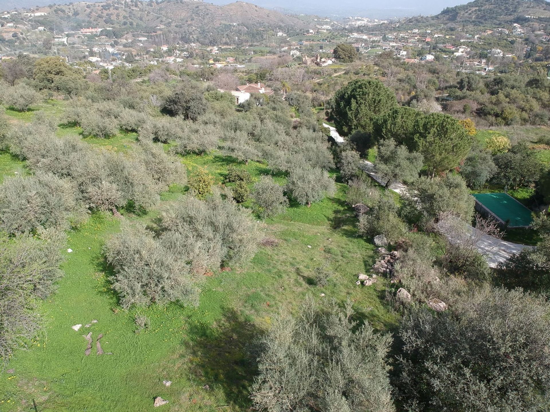 Hus i Coín, Andalusia 12254194