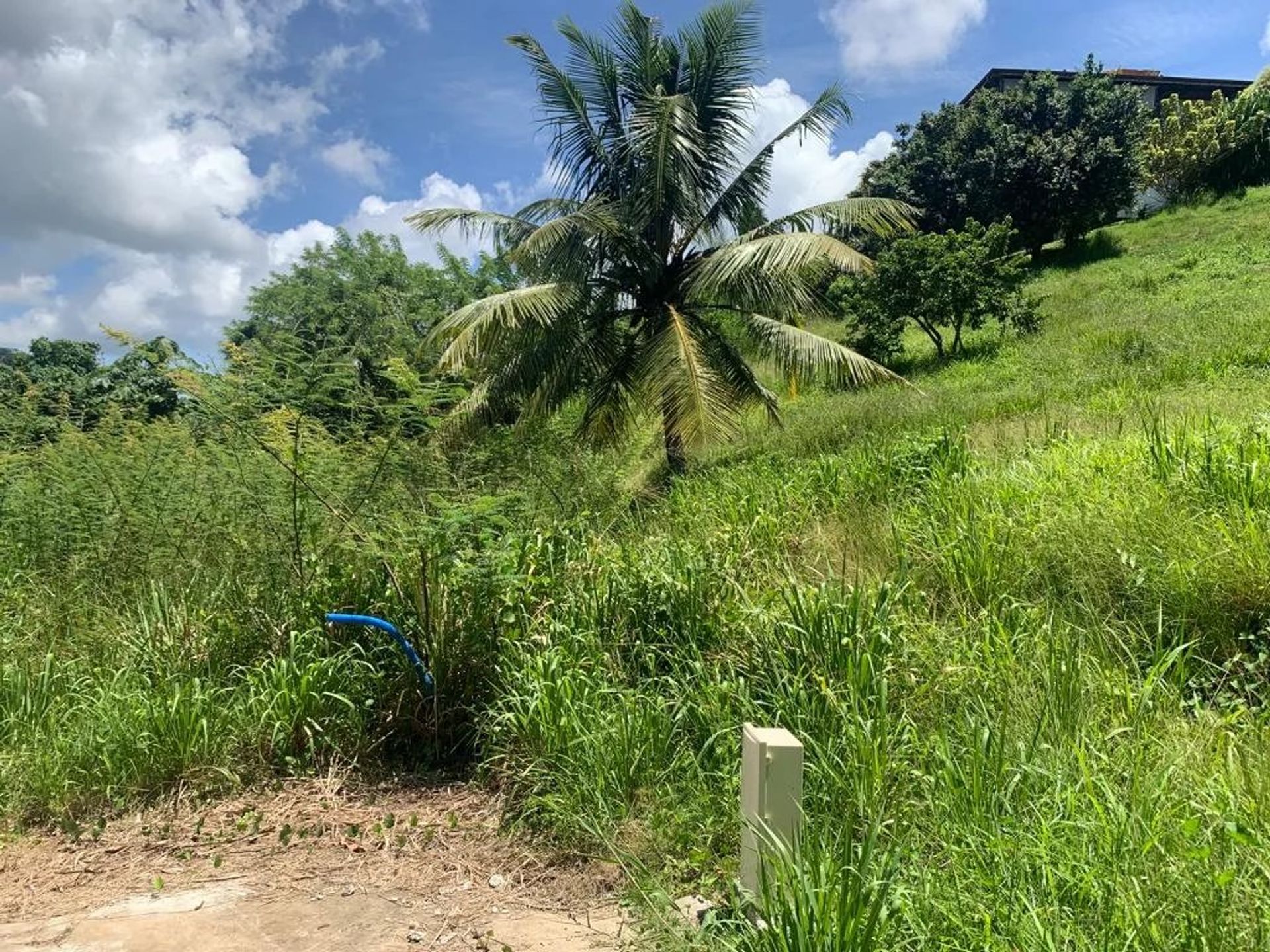 Maa sisään Cap Estate, Gros-Islet 12255407