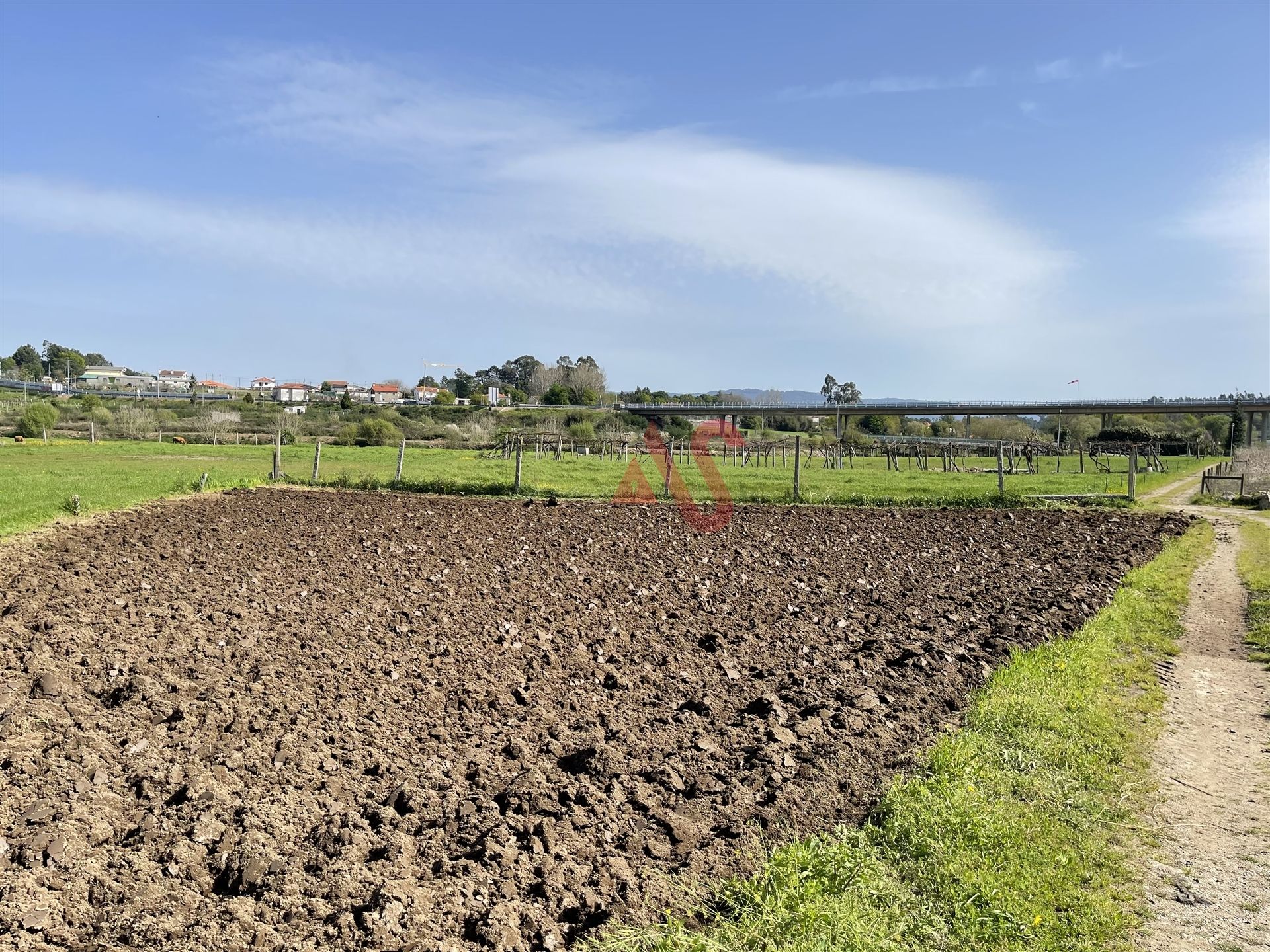 Land im Rorigo, Braga 12257123