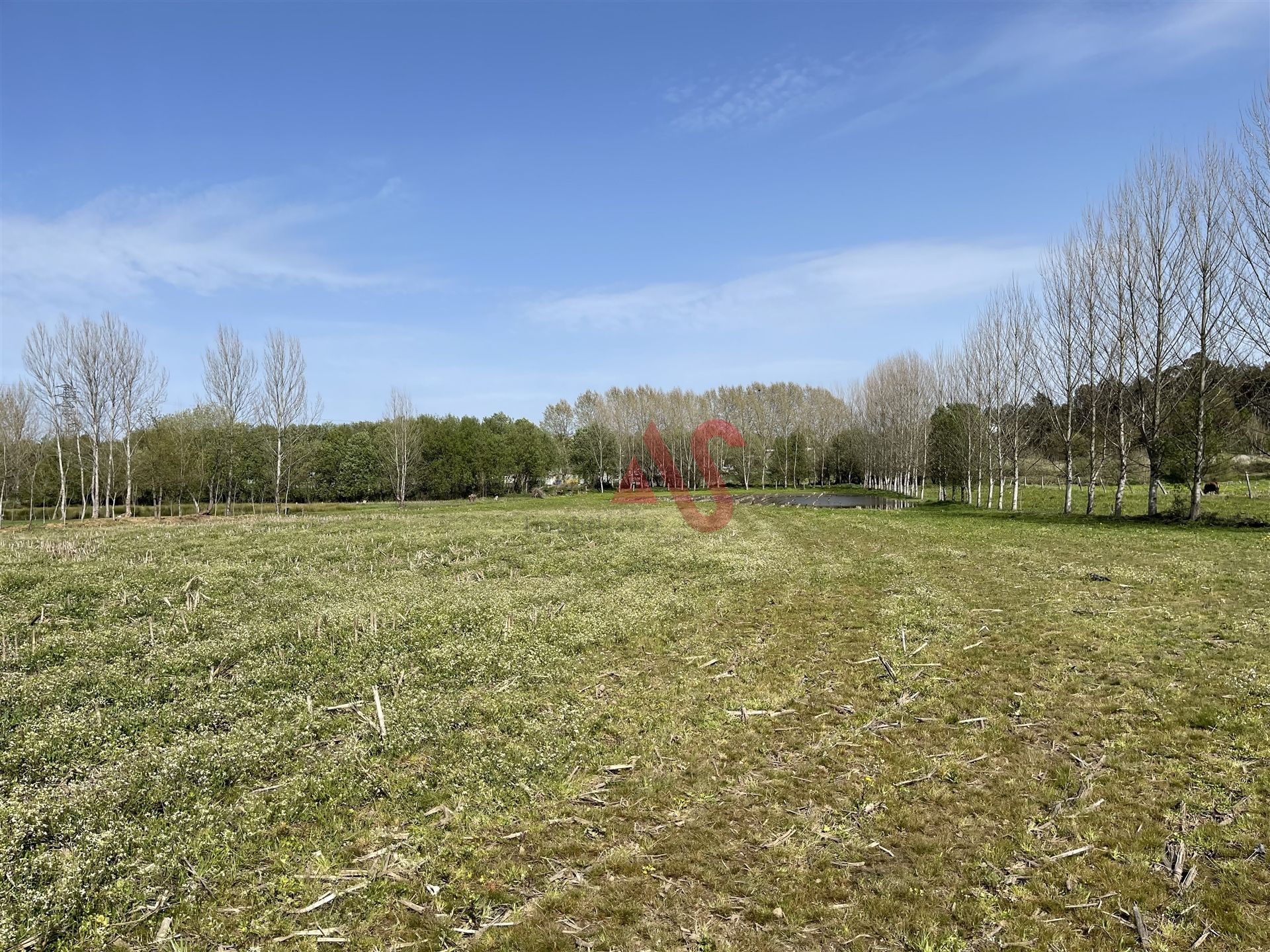 Land i Rorigo, Braga 12257125