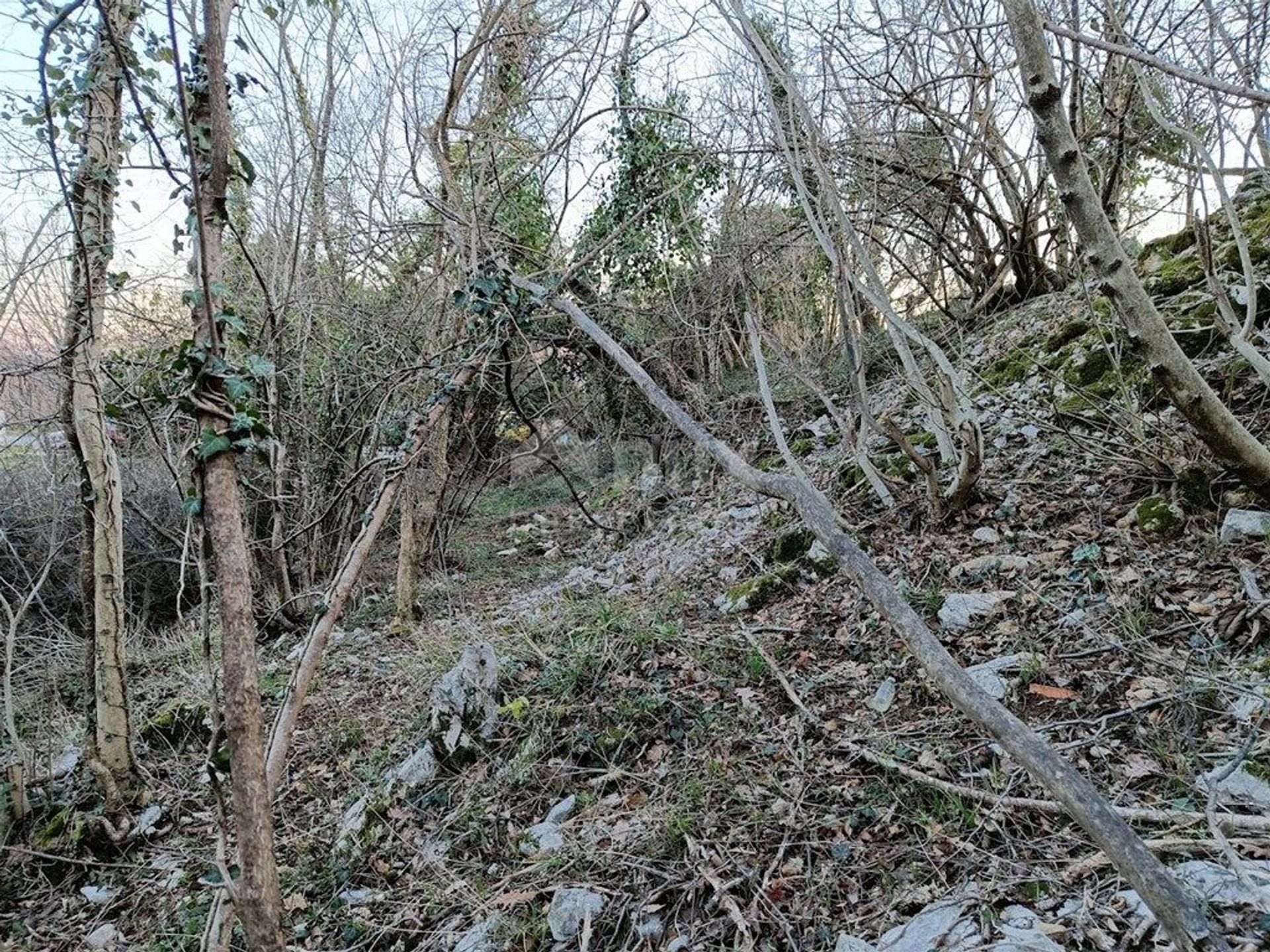 Land in Drenova, Primorje-Gorski Kotar County 12259384