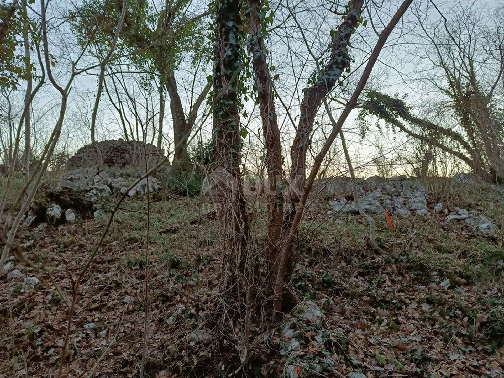 Terra no Drenova, Primorje-Gorski Kotar County 12259384