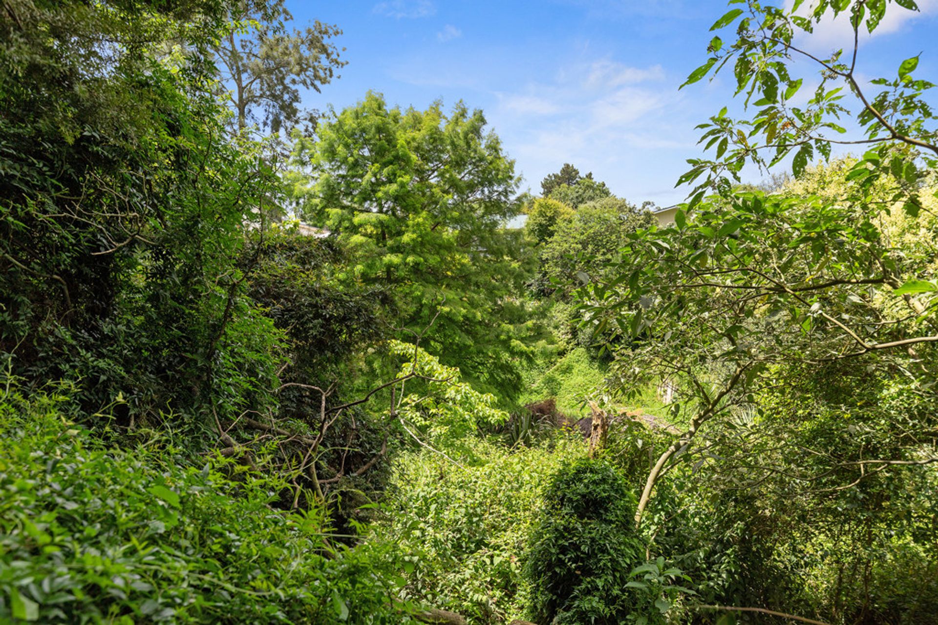 Condominio nel Hamilton, Waikato 12260922