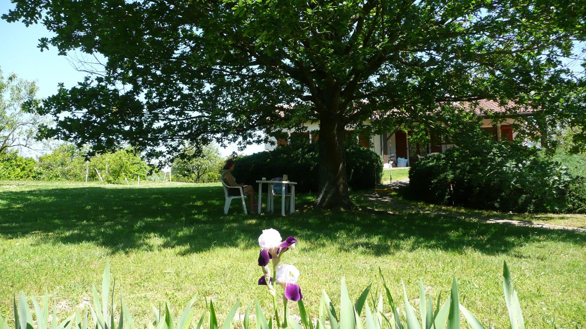 Haus im Masseube, Occitanie 12261099