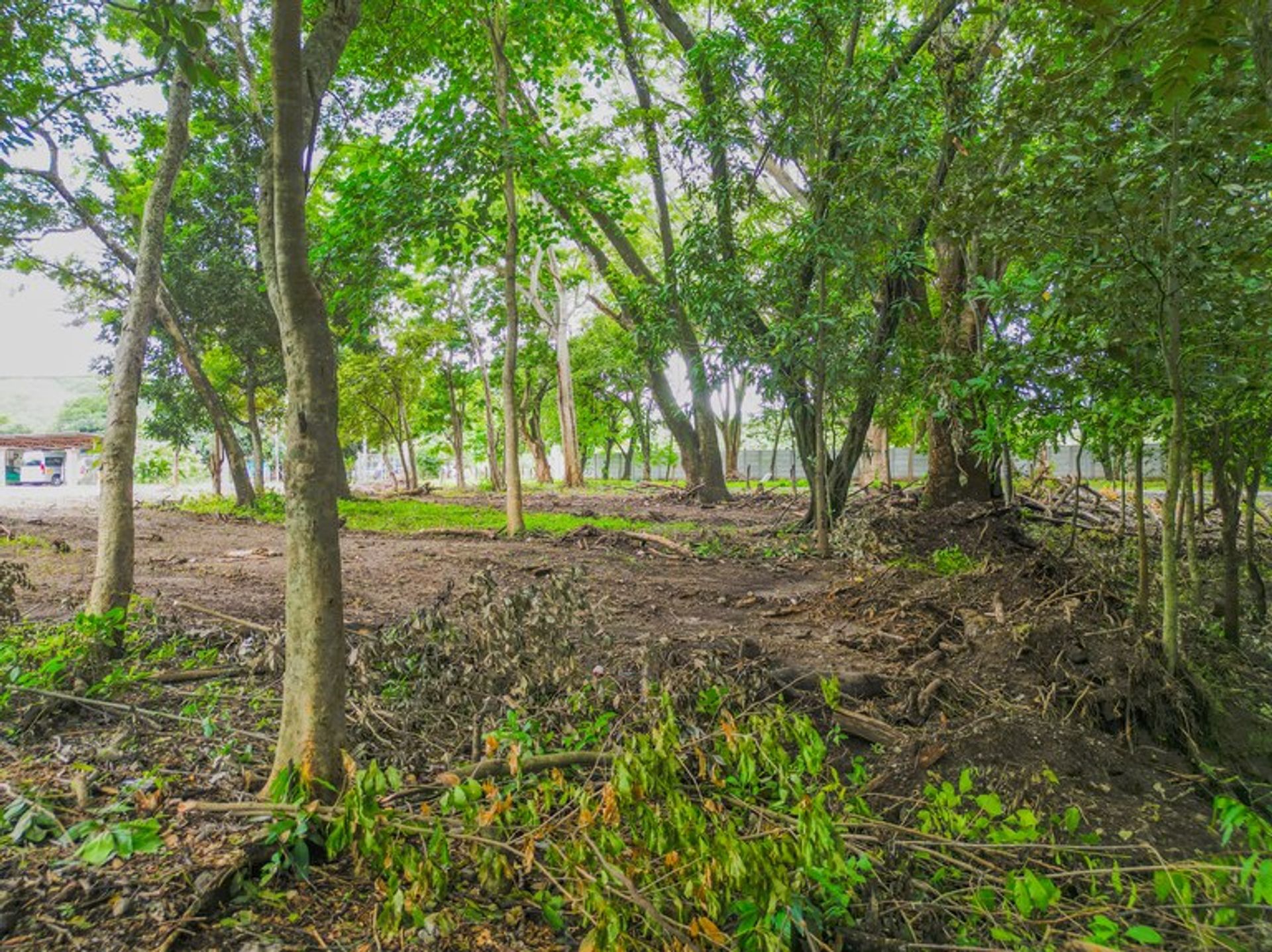 Borettslag i Potrero, Guanacaste Province 12262076