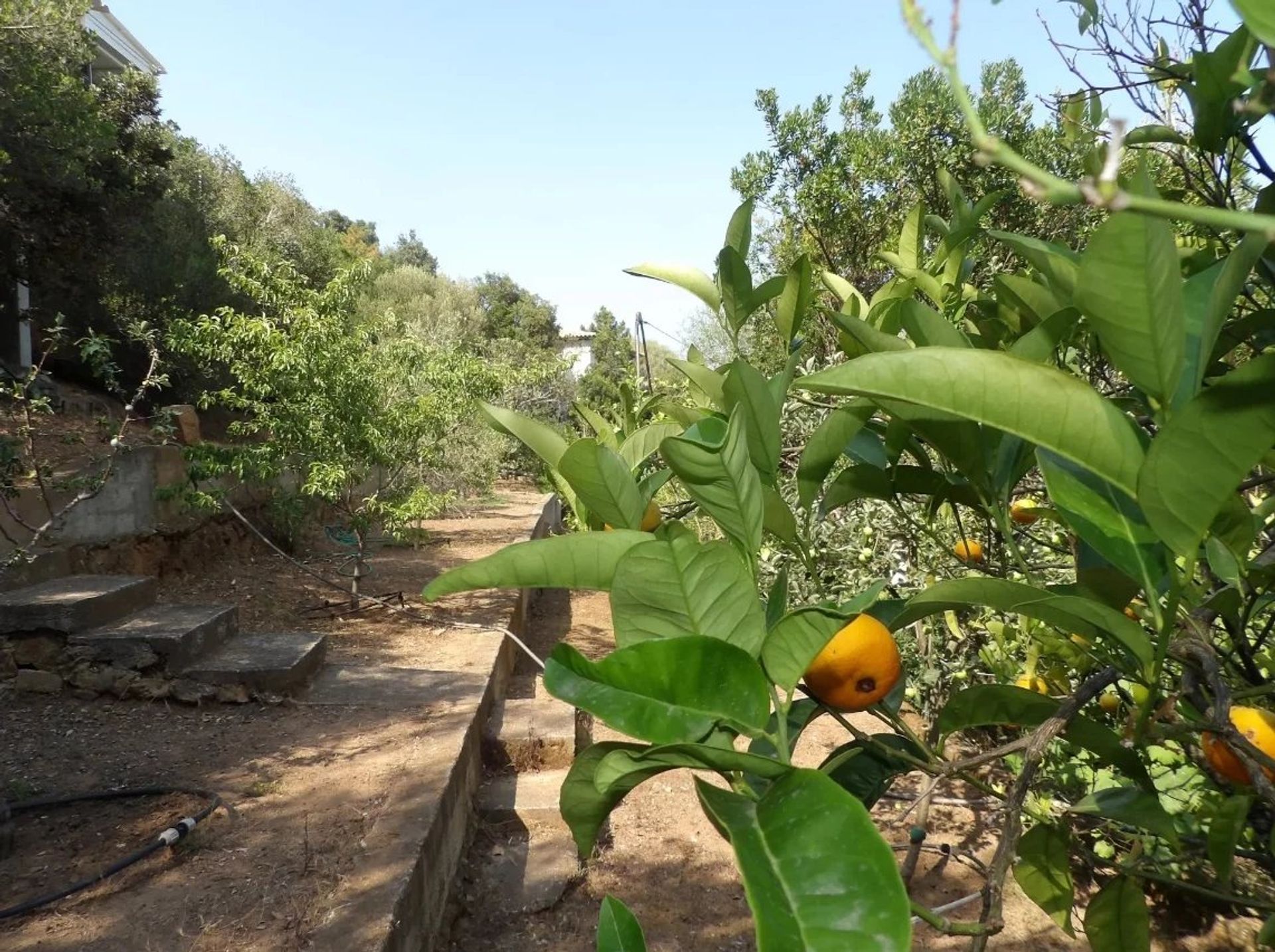 loger dans Sari-Solenzara, Corse-du-Sud 12264675