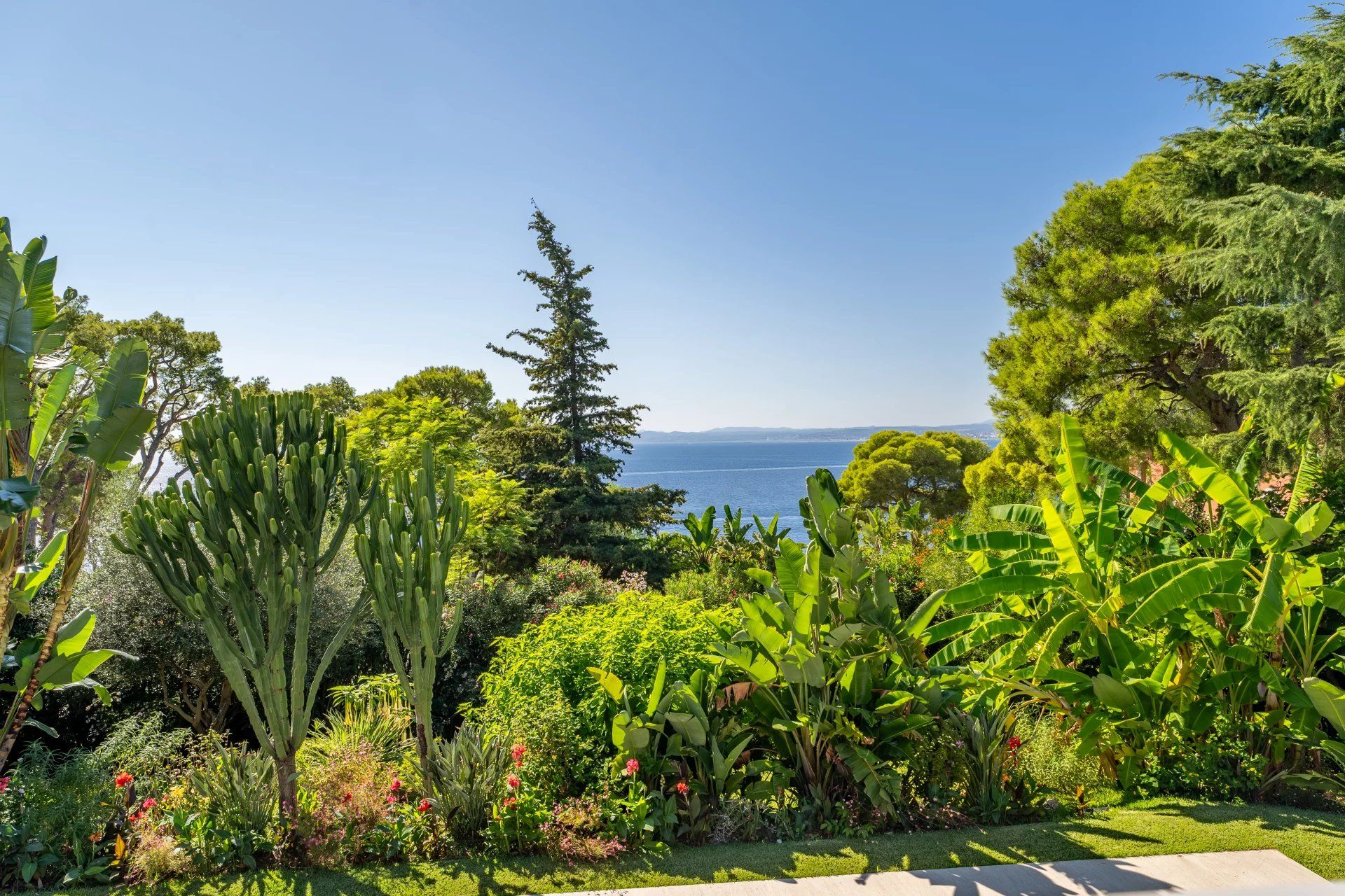 Будинок в Saint-Jean-Cap-Ferrat, Alpes-Maritimes 12264683