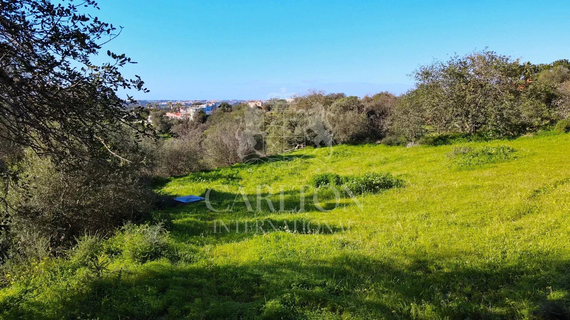 Land in Boliqueime, Faro 12264760