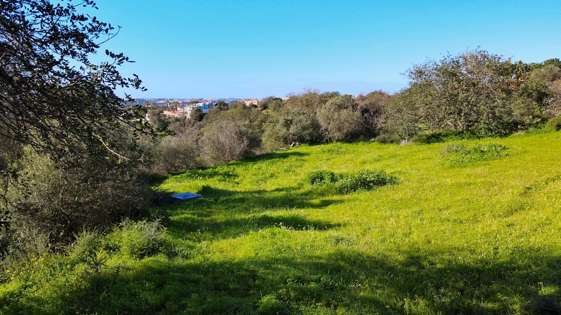 Terre dans Loulé, Faro 12264760