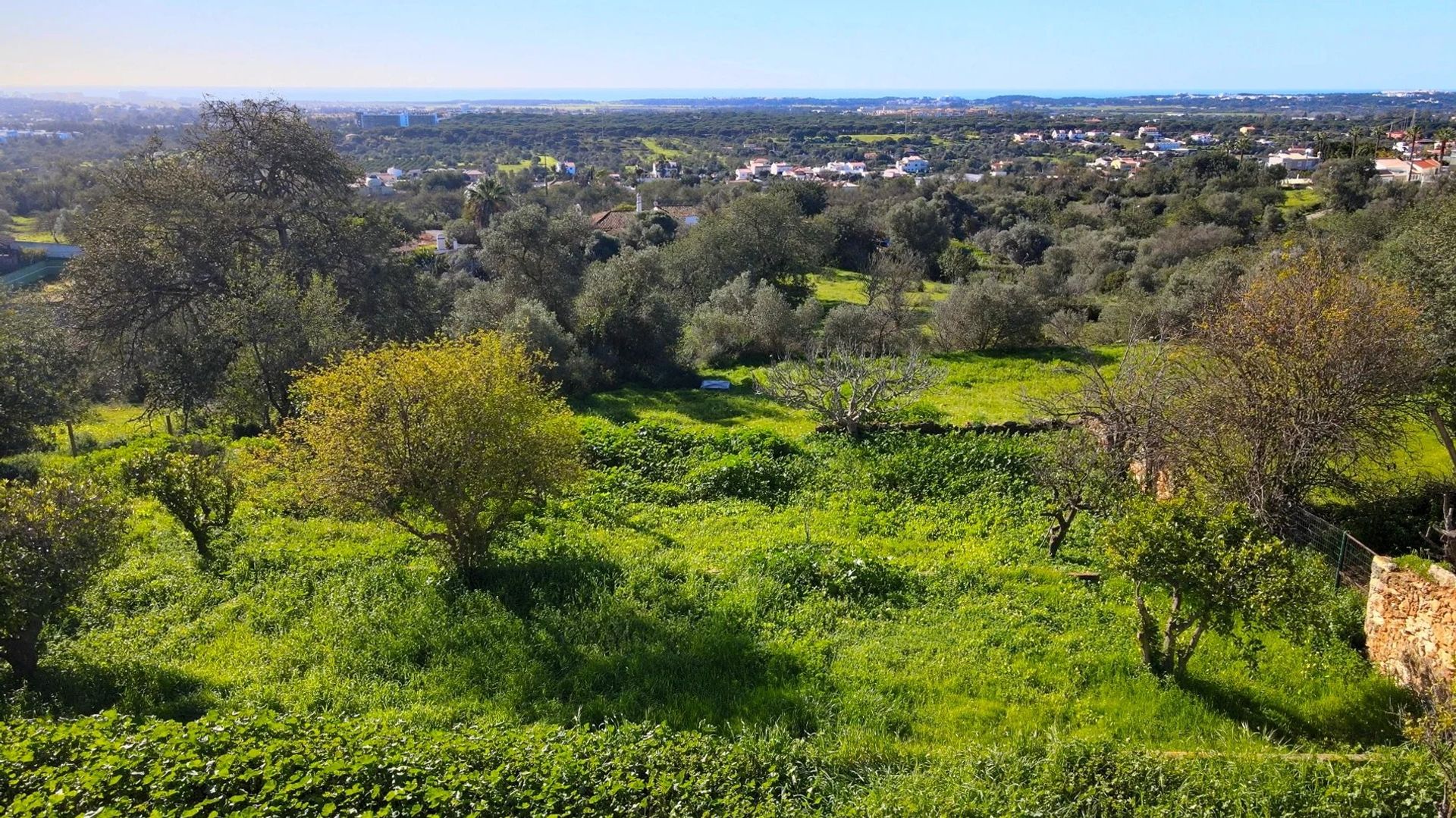 Terra no Loulé, Faro 12264760