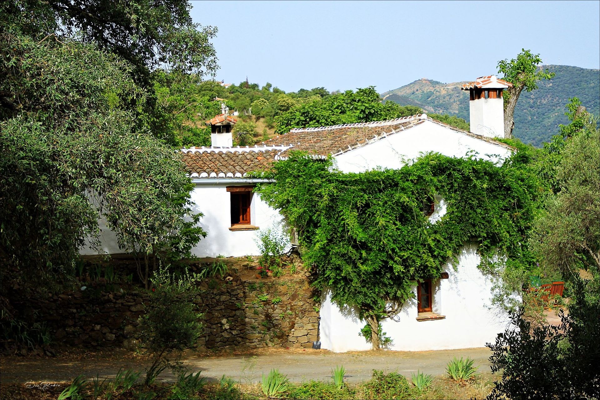 casa no Genalguacil, Andaluzia 12264911