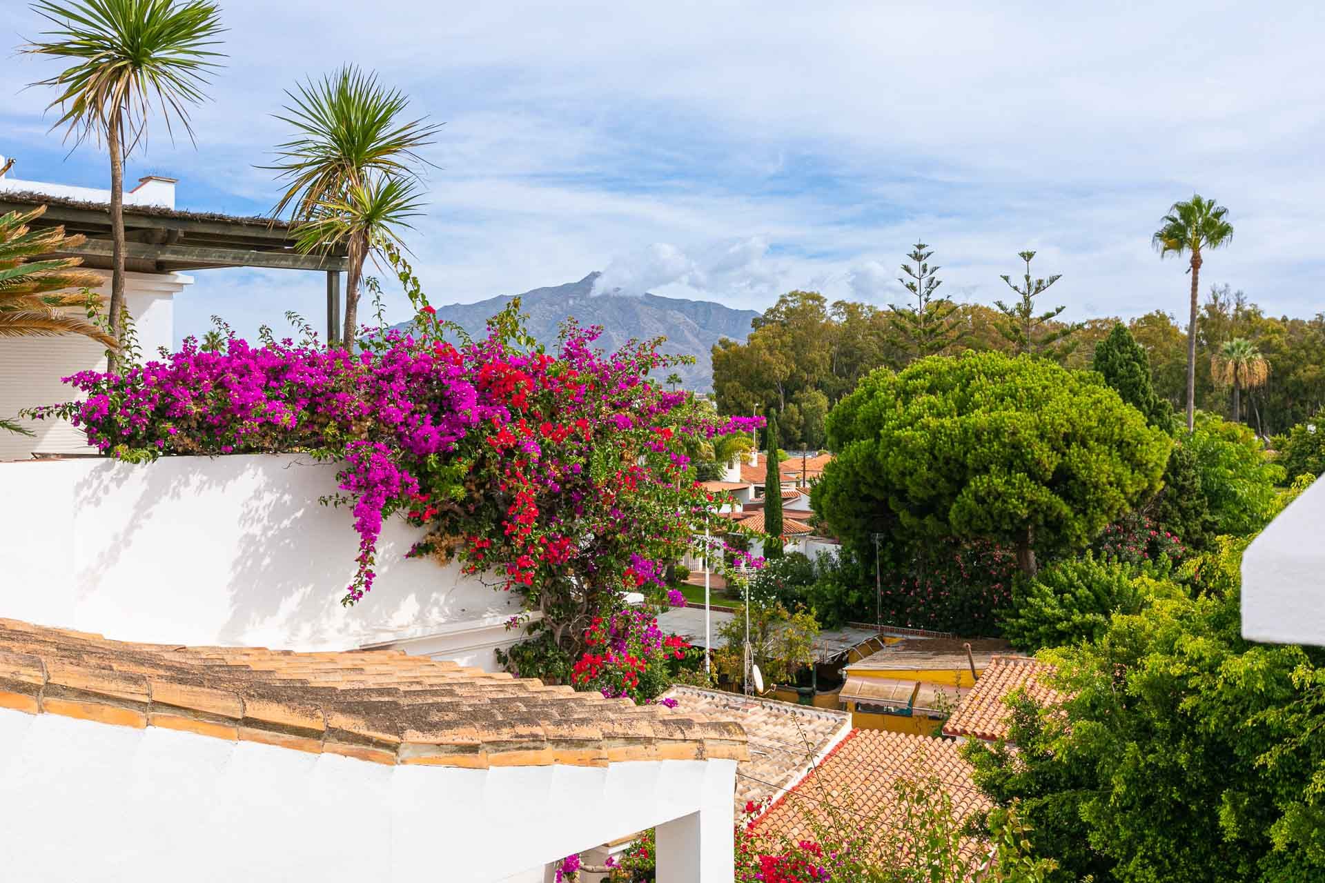 Rumah di San Pedro Alcántara, Andalucía 12264946