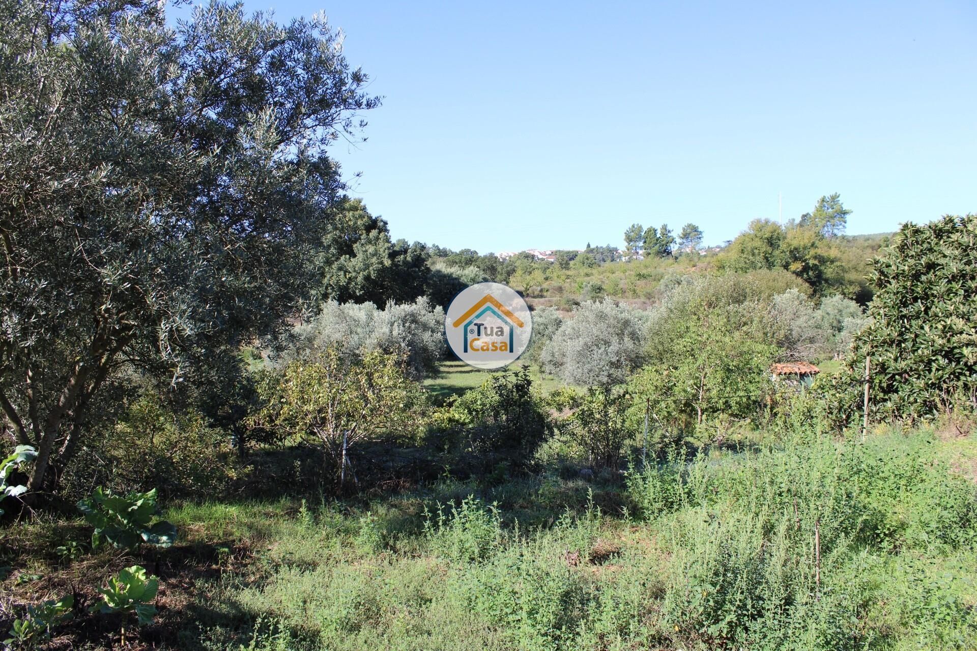 rumah dalam Tortosendo, Castelo Branco District 12264966