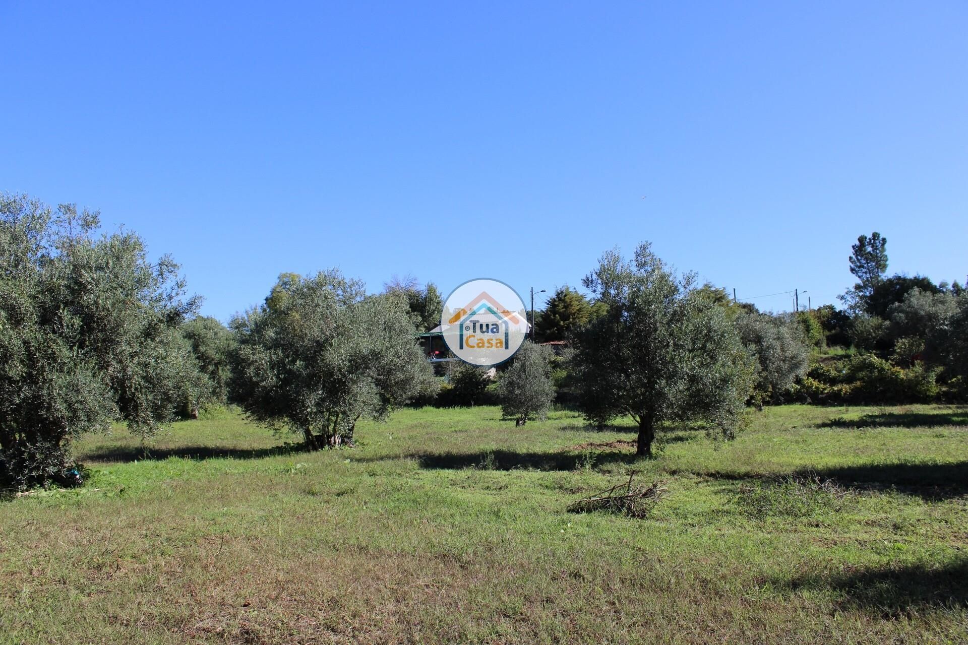 casa en Tortosendo, Castelo Branco District 12264966