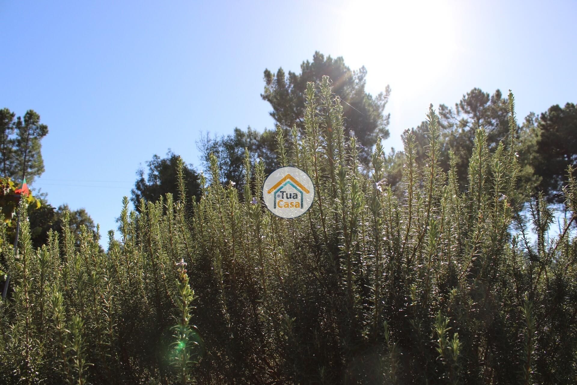 casa en Tortosendo, Castelo Branco District 12264966