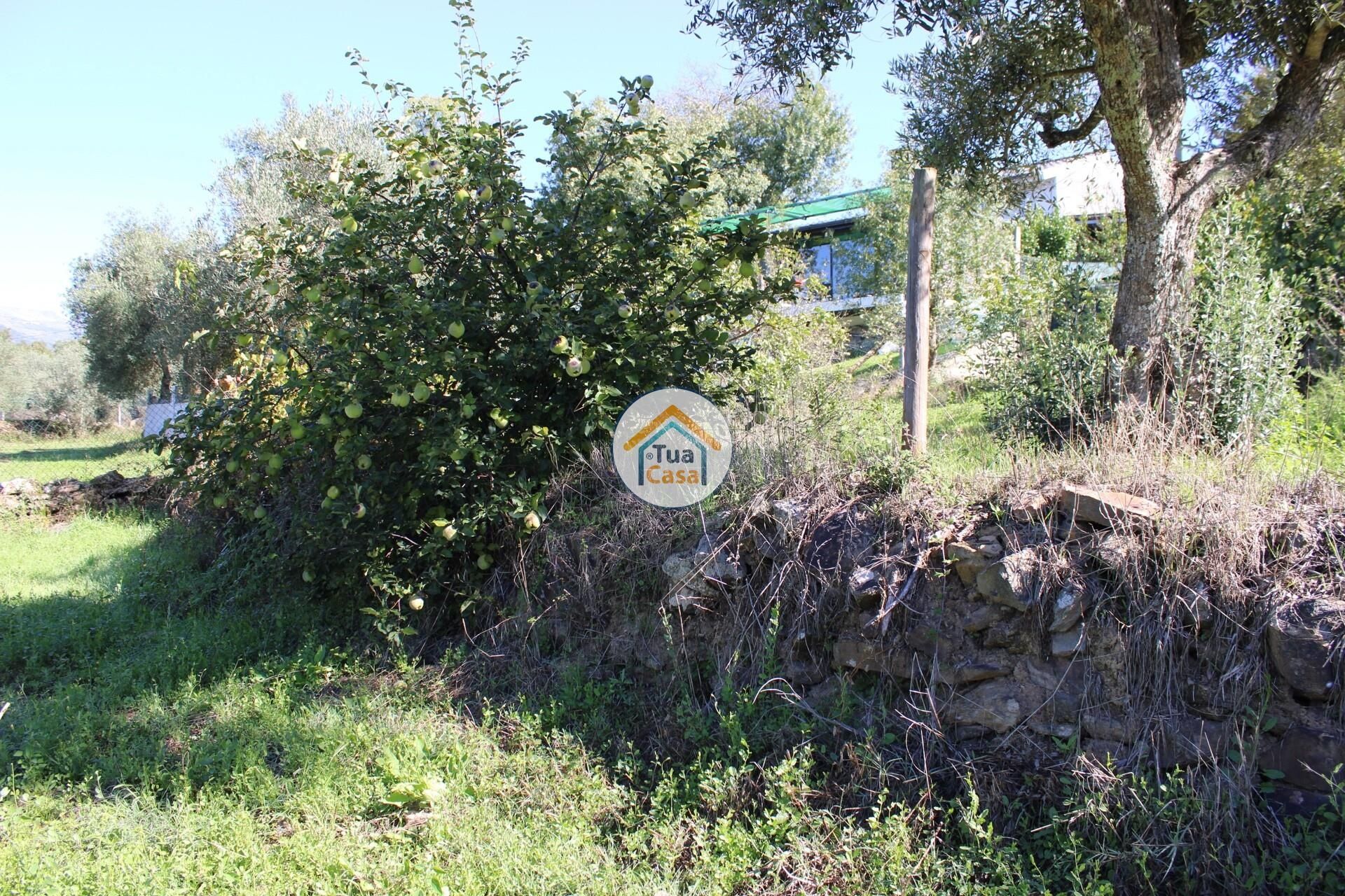 Rumah di Tortosendo, Castelo Branco District 12264966