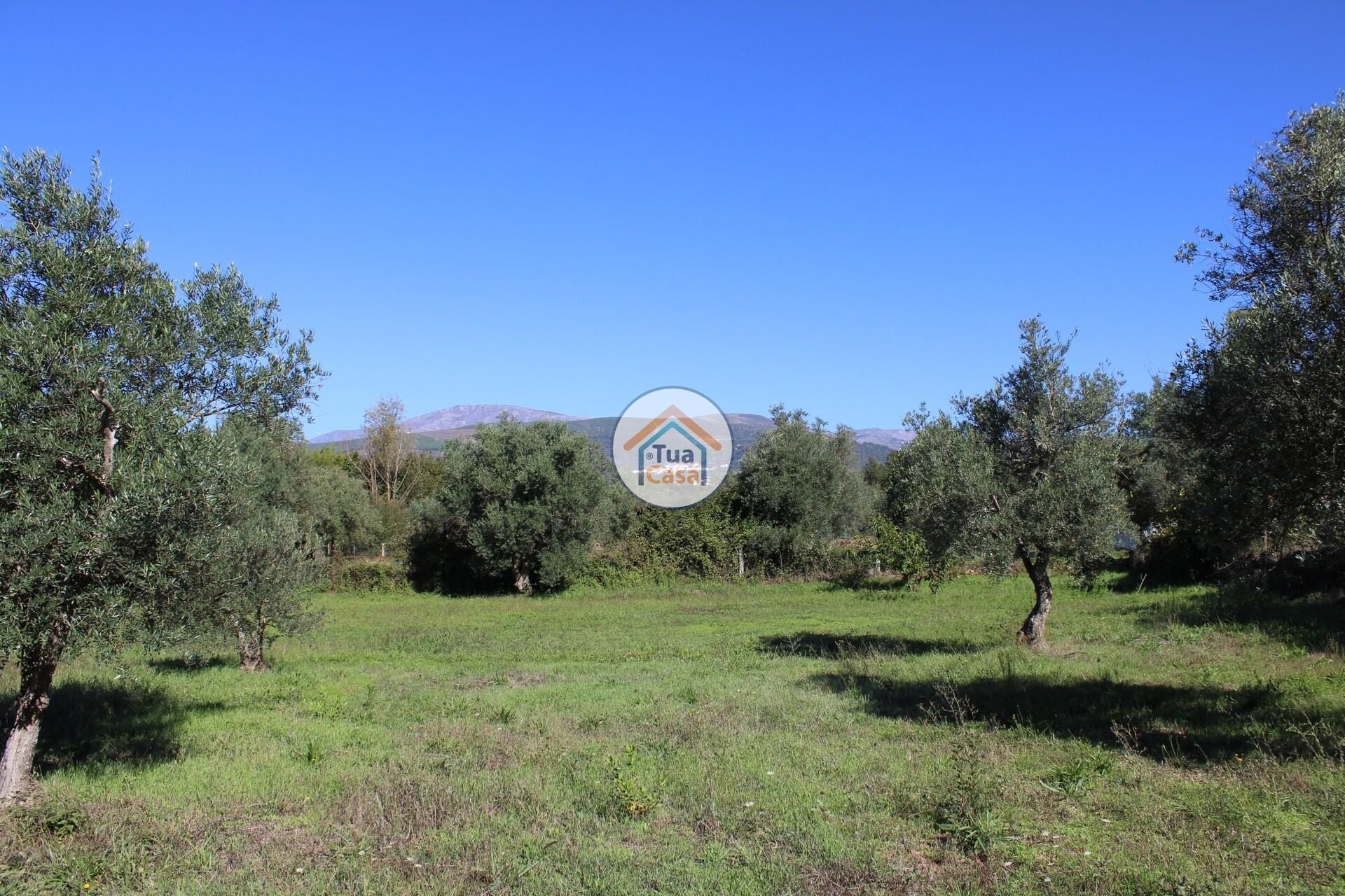 Huis in Tortosendo, Castelo Branco District 12264966