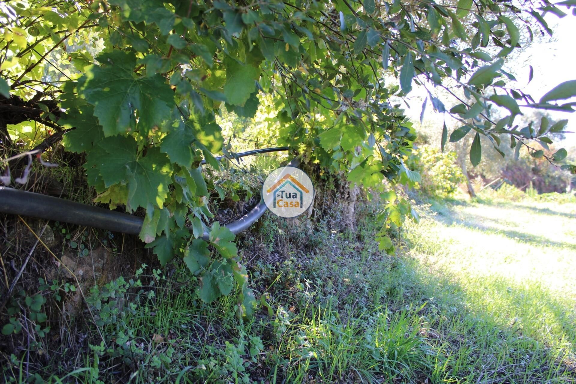 rumah dalam Tortosendo, Castelo Branco District 12264966