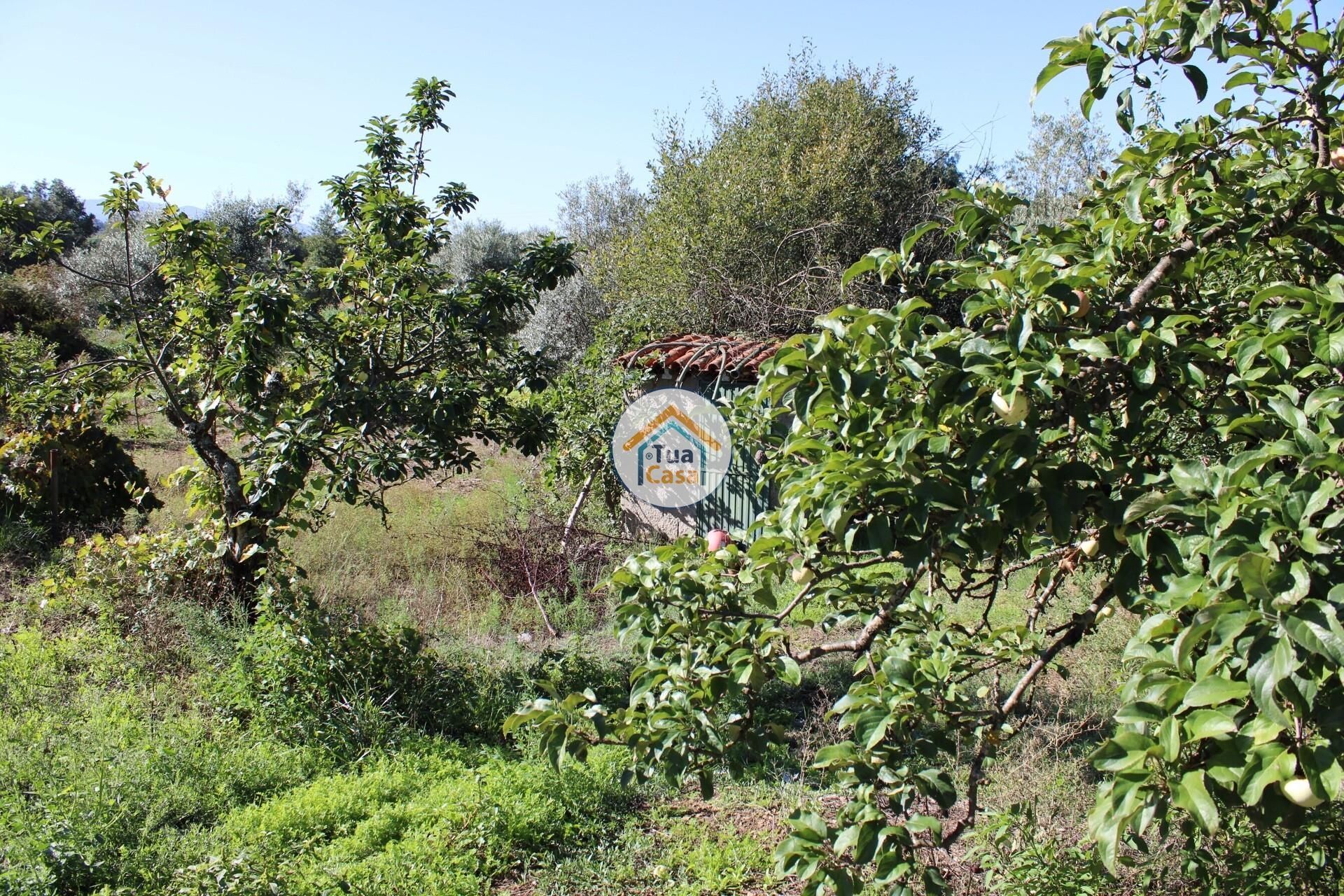 Rumah di Tortosendo, Castelo Branco District 12264966