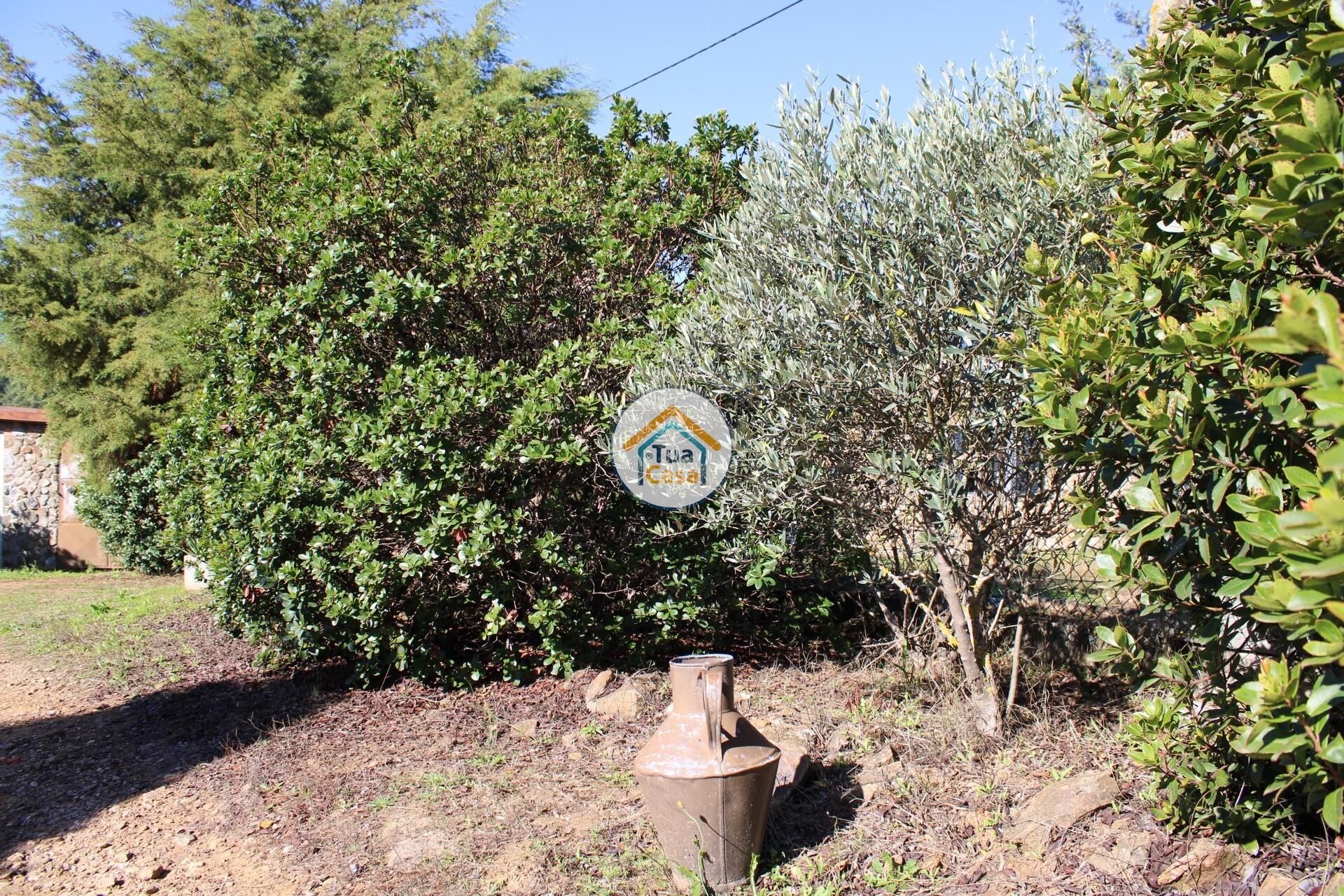 Rumah di Tortosendo, Castelo Branco District 12264966