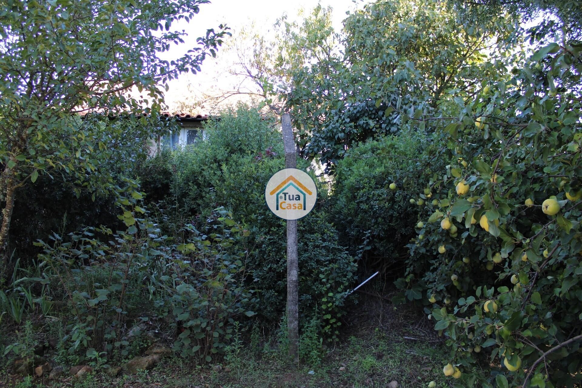 Rumah di Tortosendo, Castelo Branco District 12264966