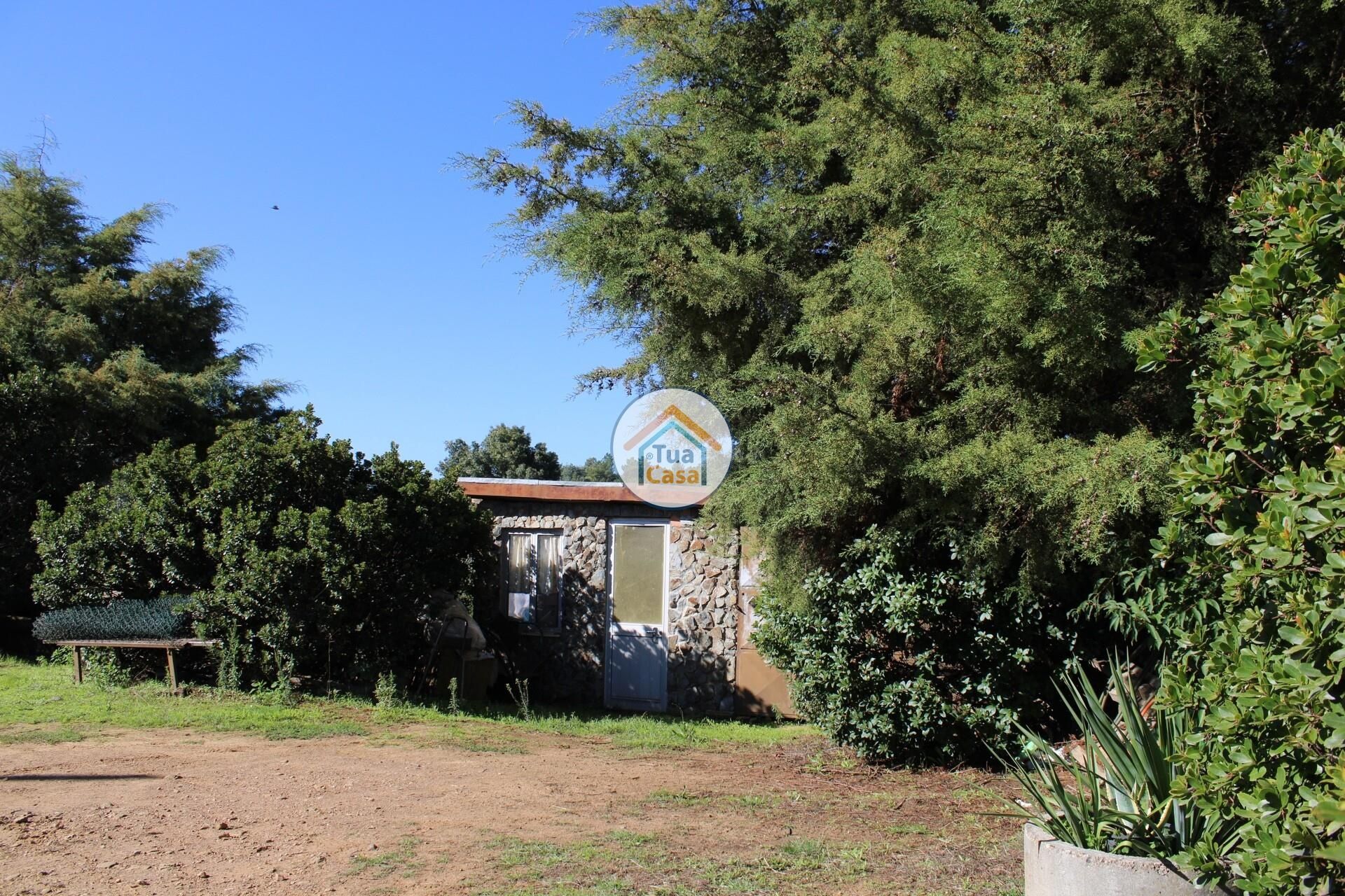 casa en Tortosendo, Castelo Branco District 12264966