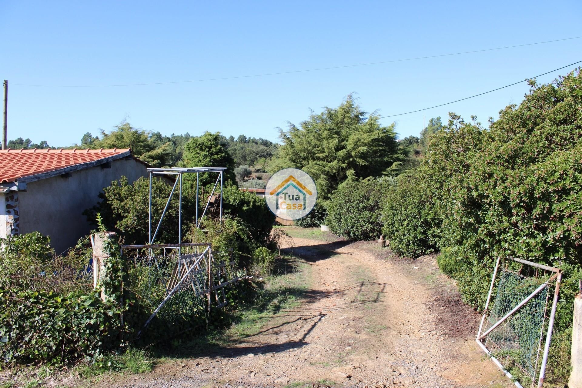 房子 在 Tortosendo, Castelo Branco District 12264966