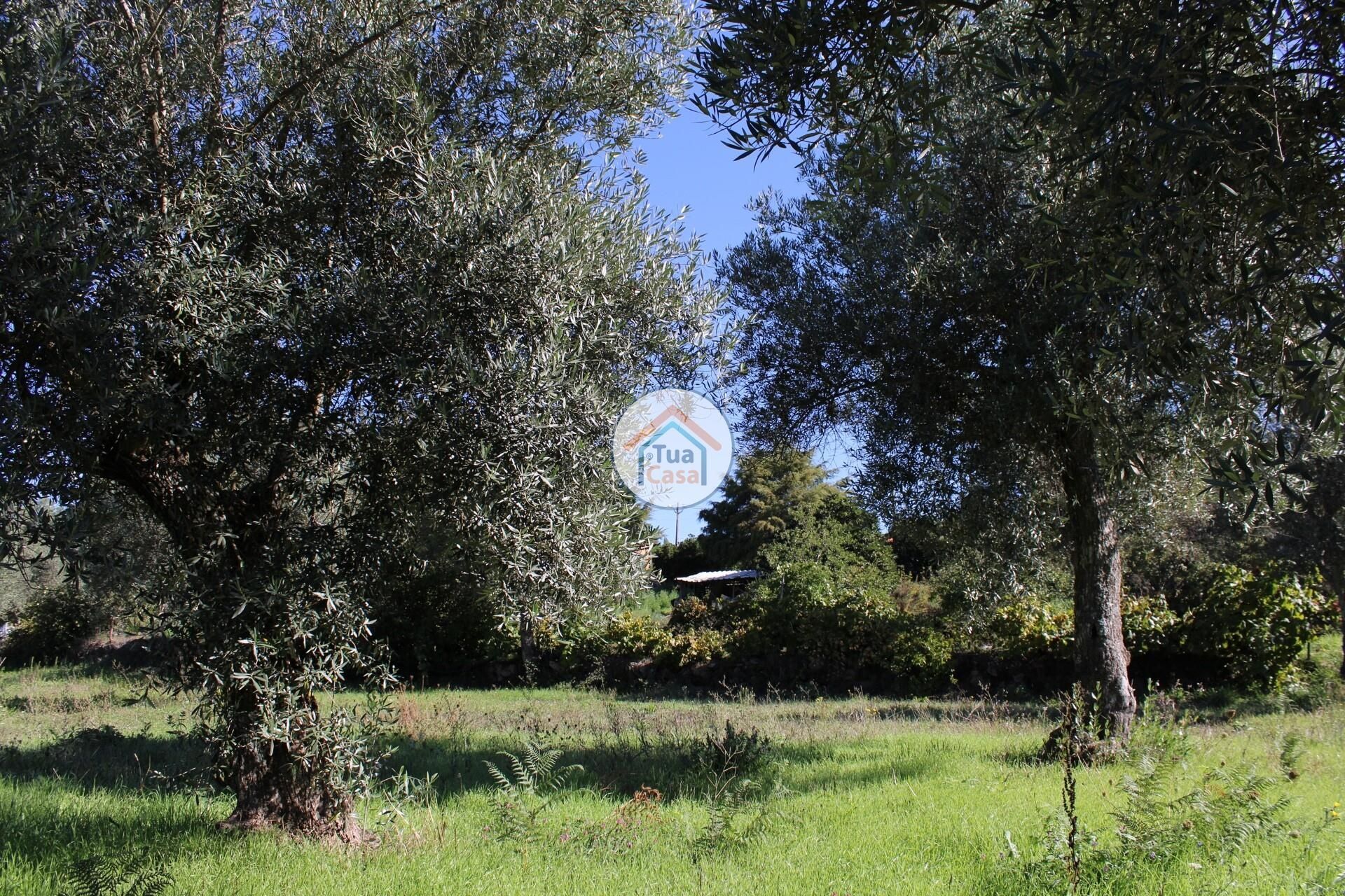 casa en Tortosendo, Castelo Branco District 12264966