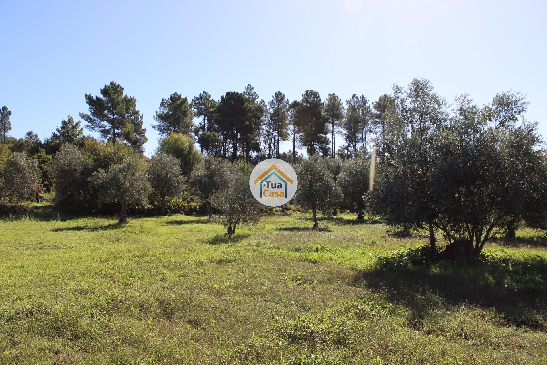 casa en Tortosendo, Castelo Branco District 12264966