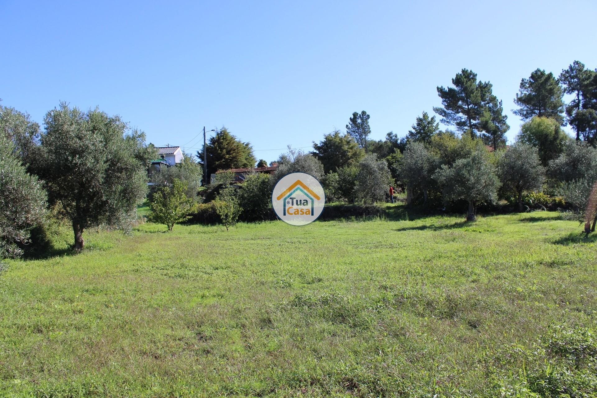 Huis in Tortosendo, Castelo Branco District 12264966