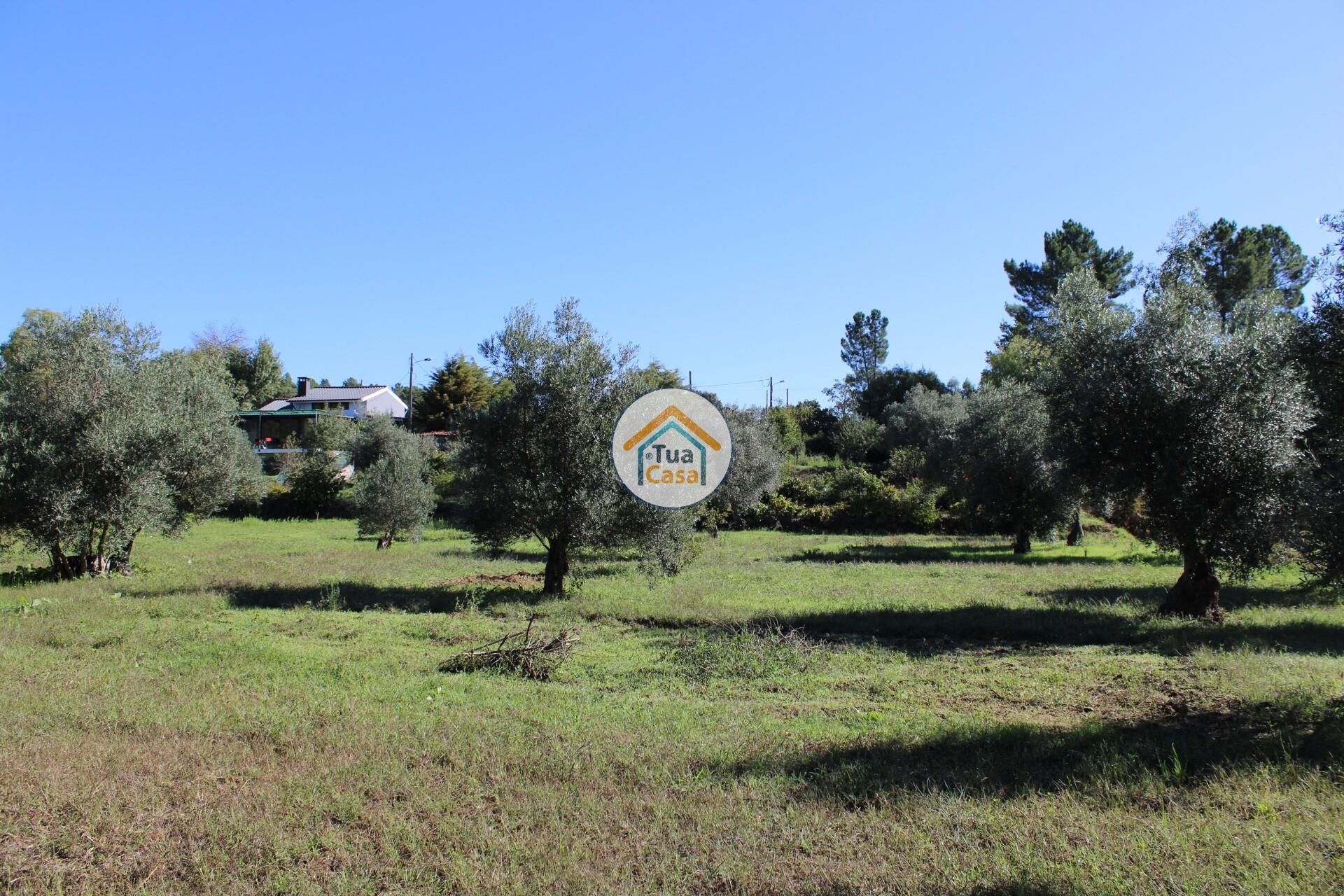 casa en Tortosendo, Castelo Branco District 12264966