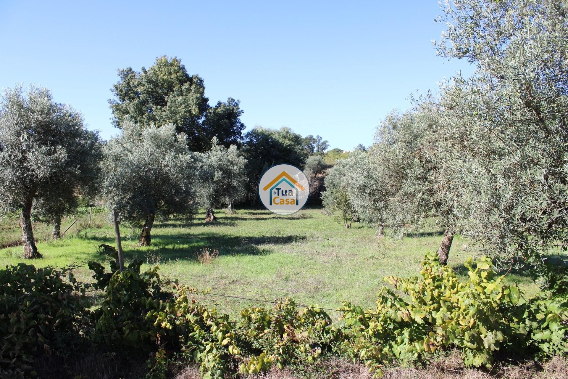 casa en Tortosendo, Castelo Branco District 12264966