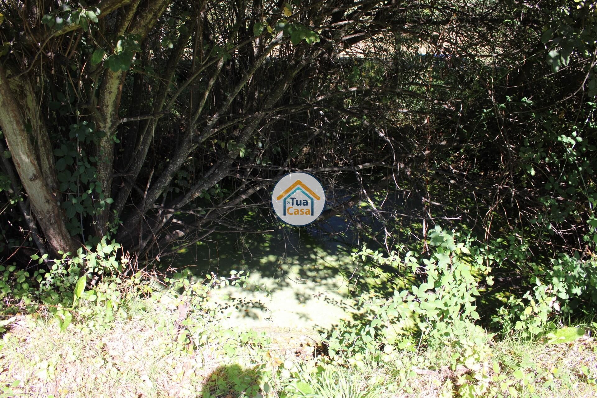 Rumah di Tortosendo, Castelo Branco District 12264966