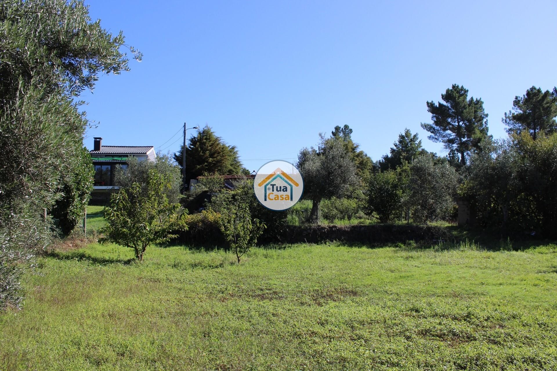 Huis in Tortosendo, Castelo Branco District 12264966