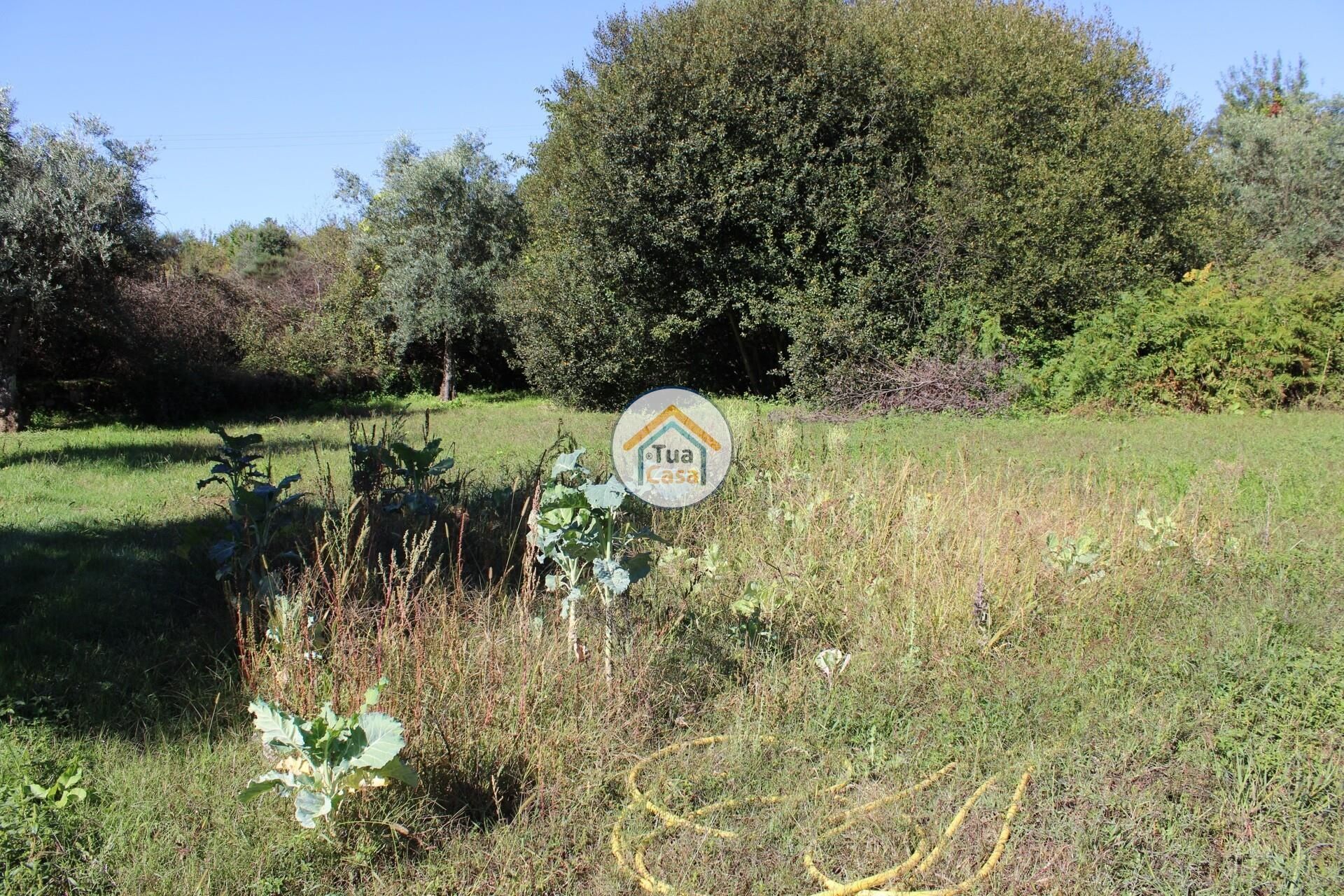 Rumah di Tortosendo, Castelo Branco District 12264966