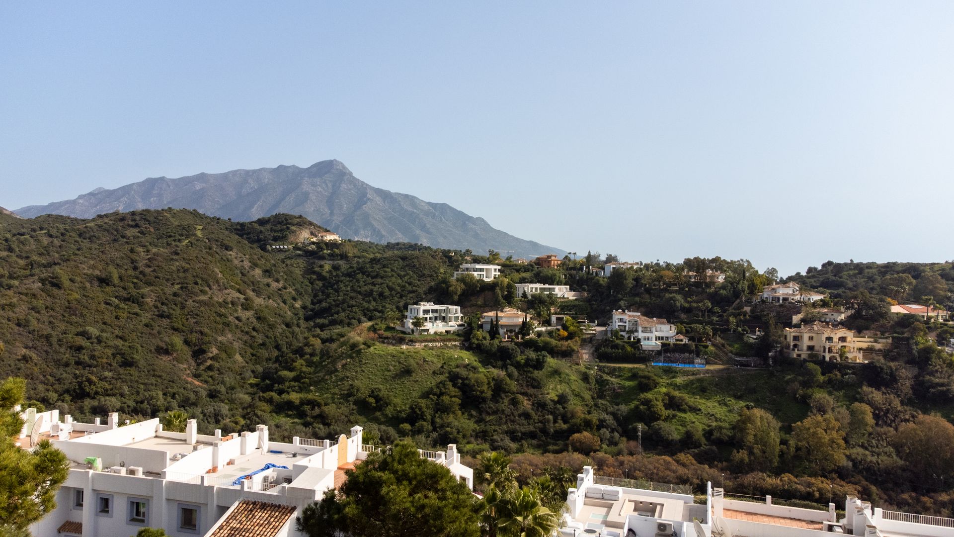 Terre dans Sainte Ursule, les îles Canaries 12266002