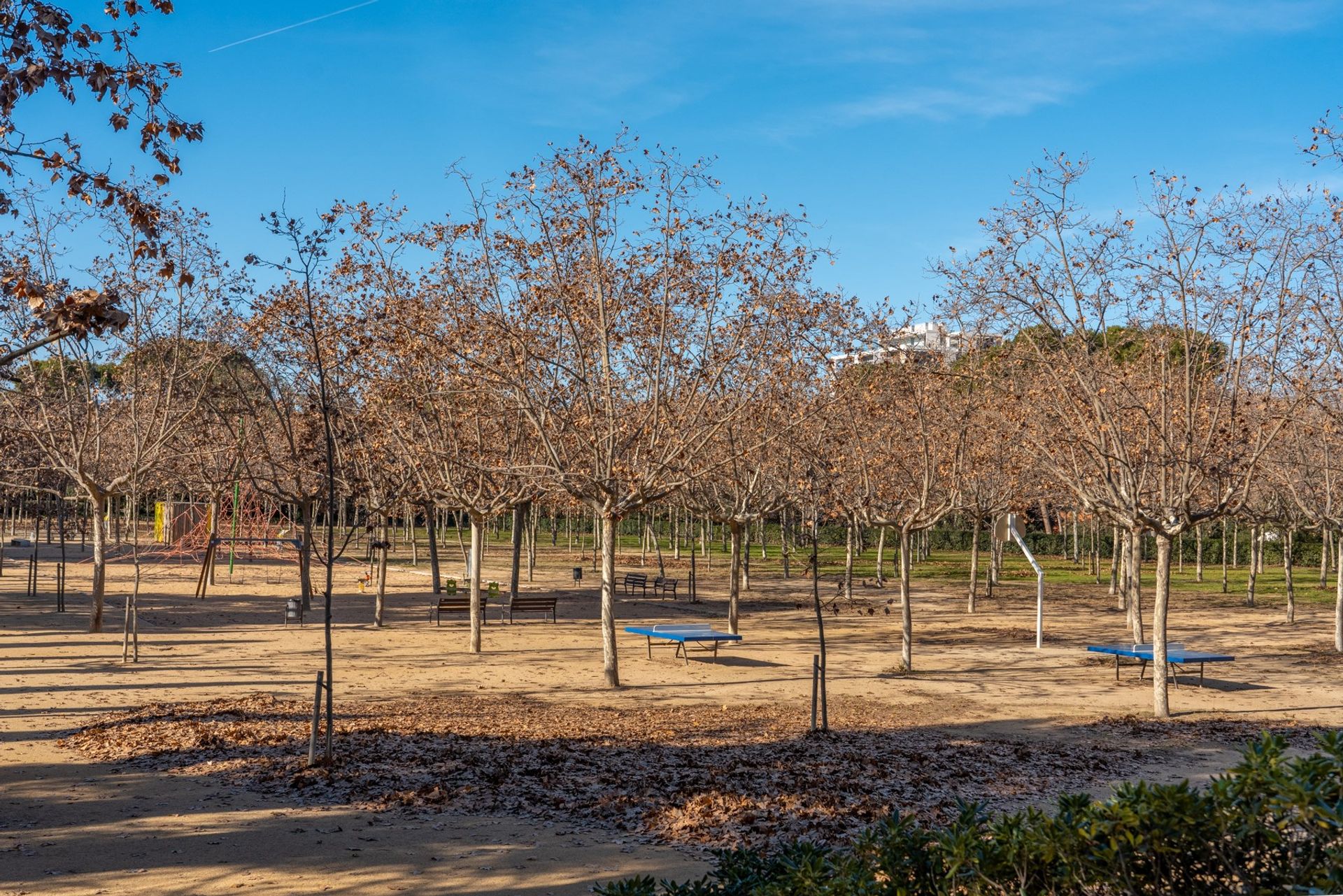 Borettslag i Sant Joan Despí, Catalunya 12267318