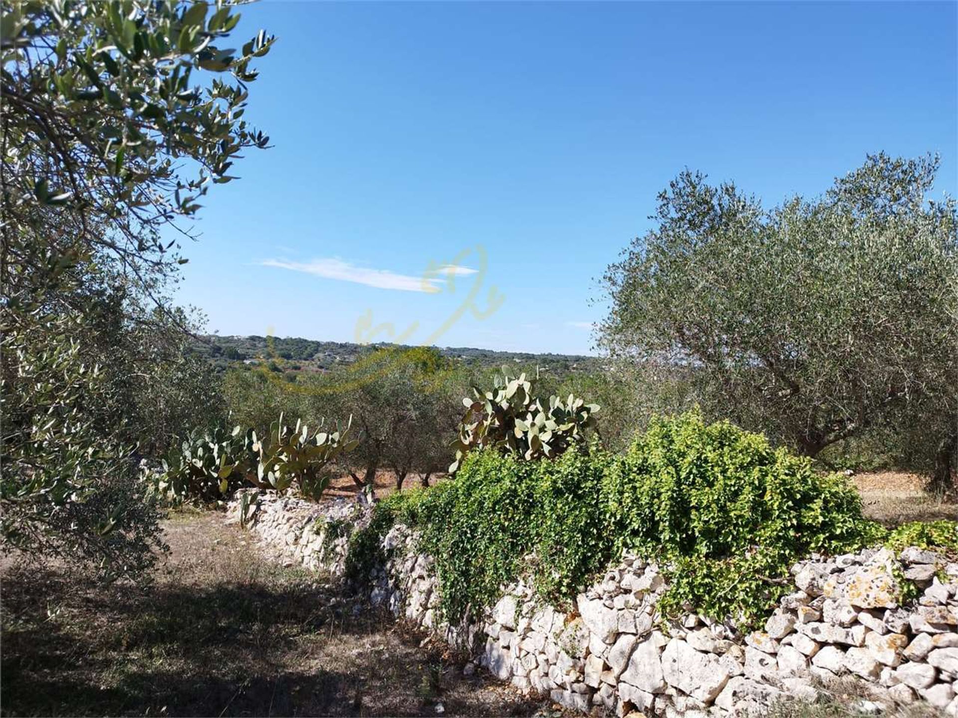 House in Ostuni, Apulia 12267608