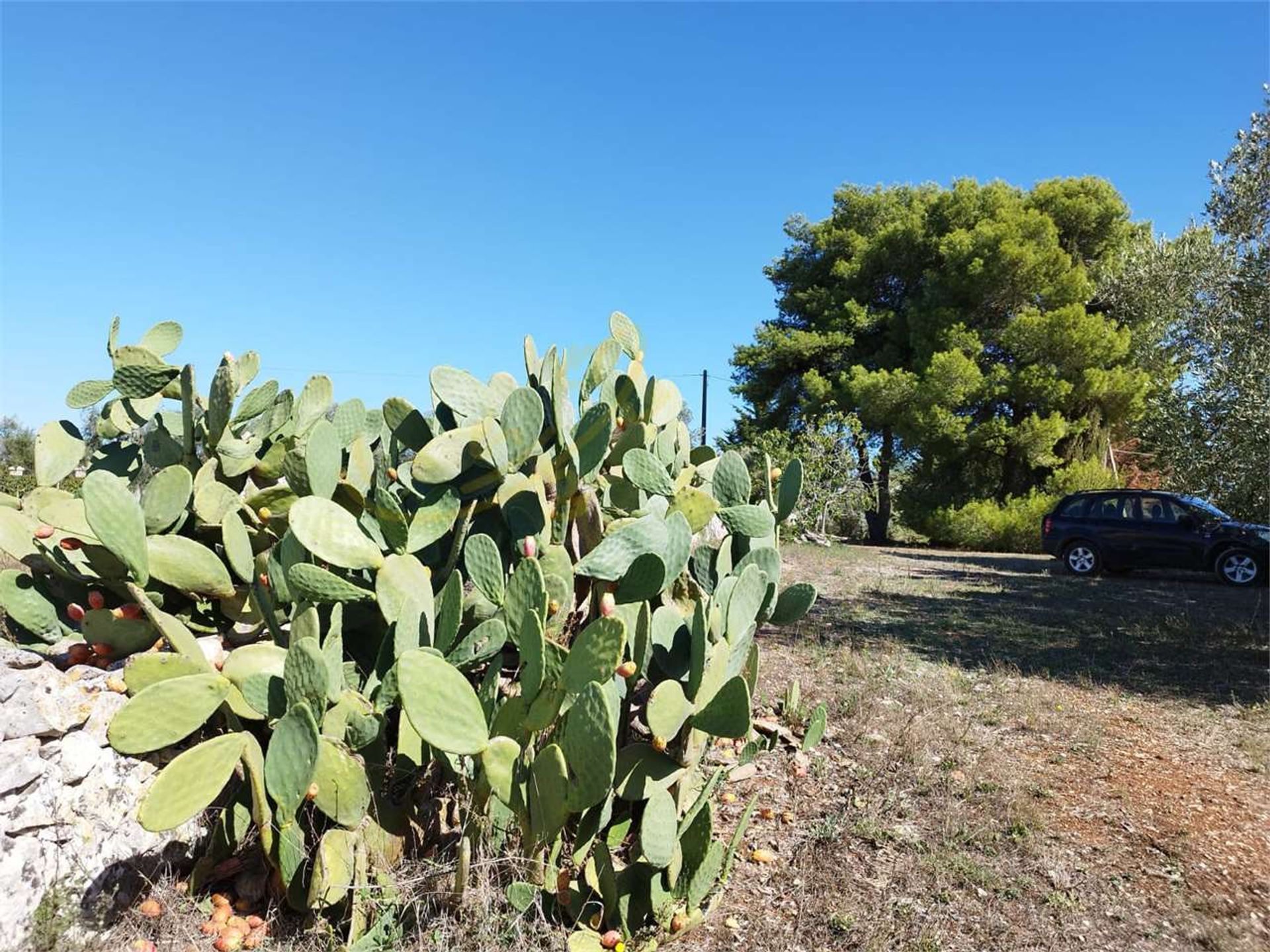 rumah dalam Ostuni, Apulia 12267608